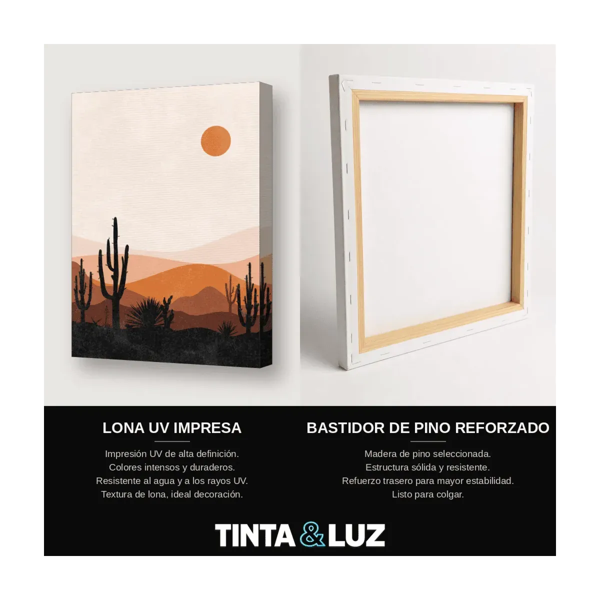 DESIERTO DE COBRE