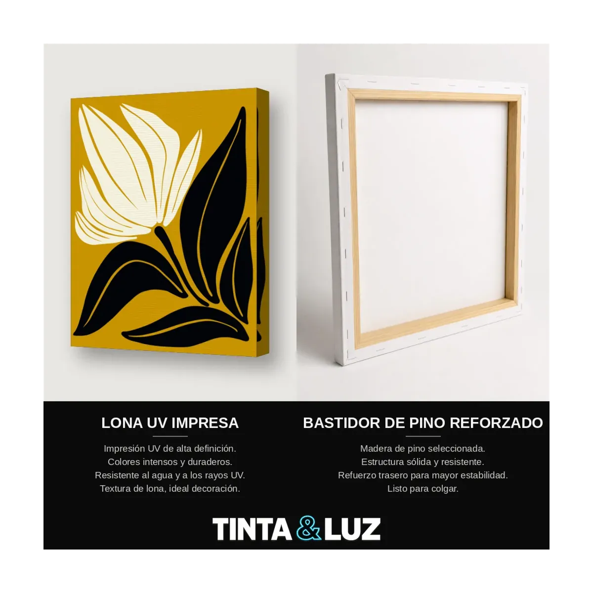 LIRIO DORADO