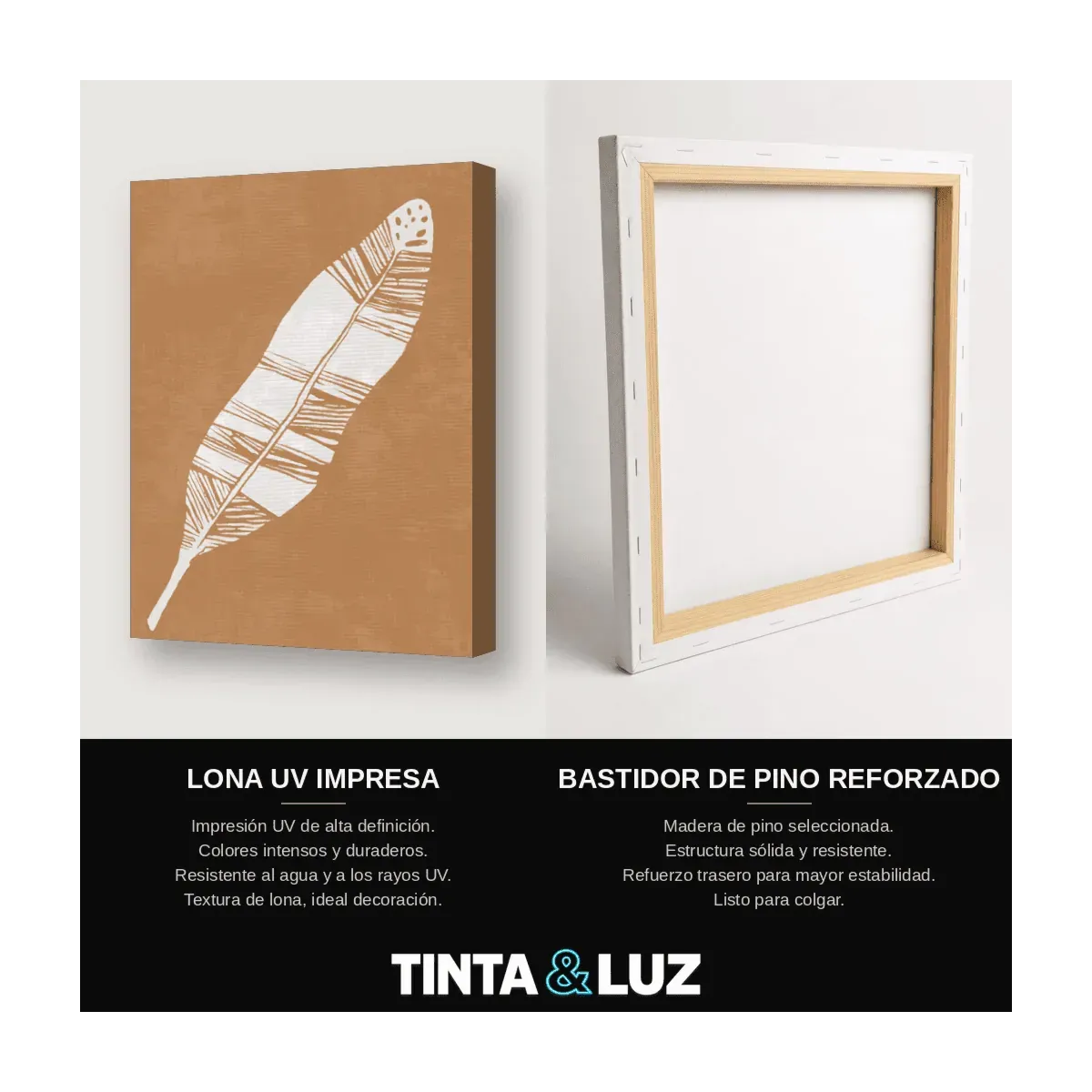 PLUMA SERENA