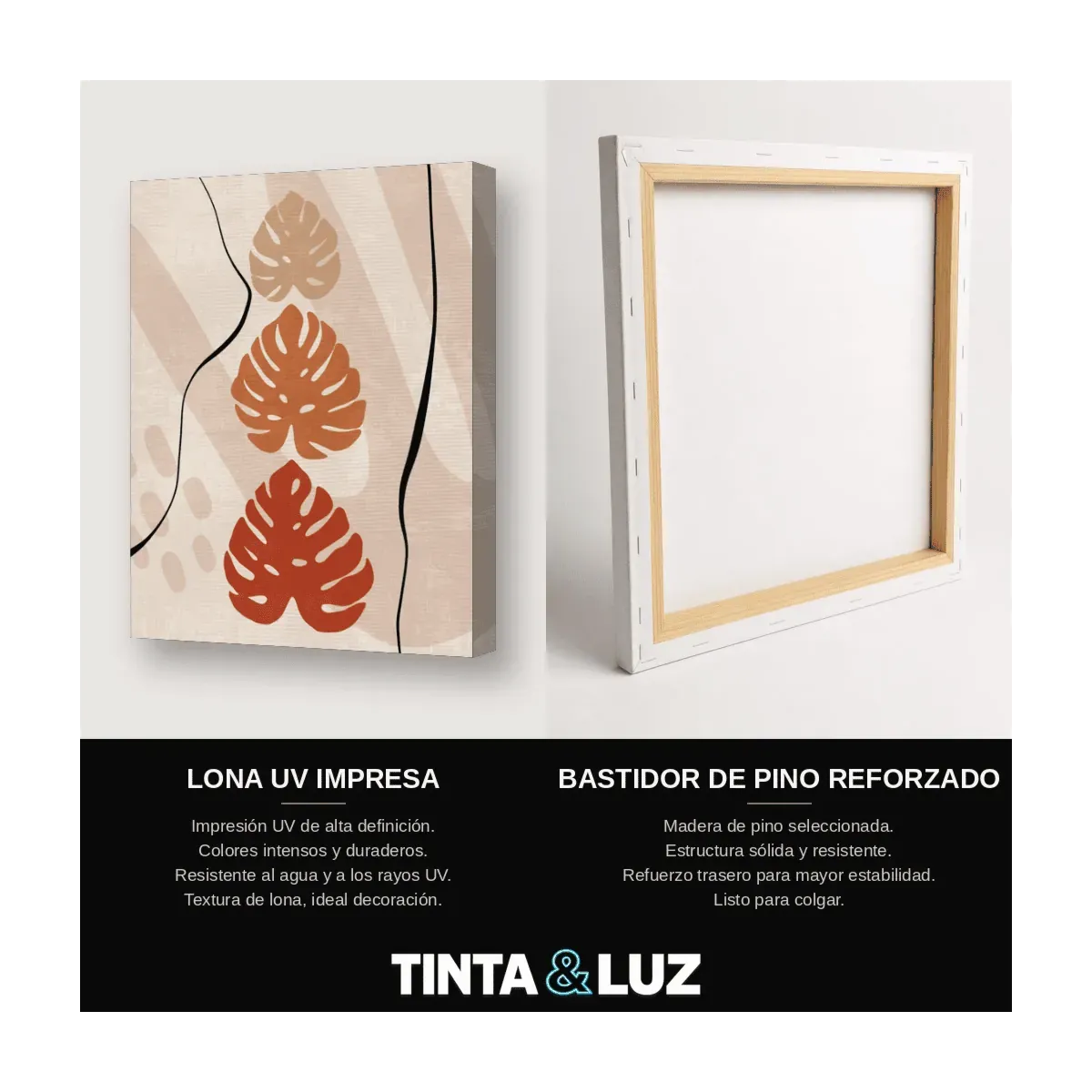 MONSTERA DE LÍNEA