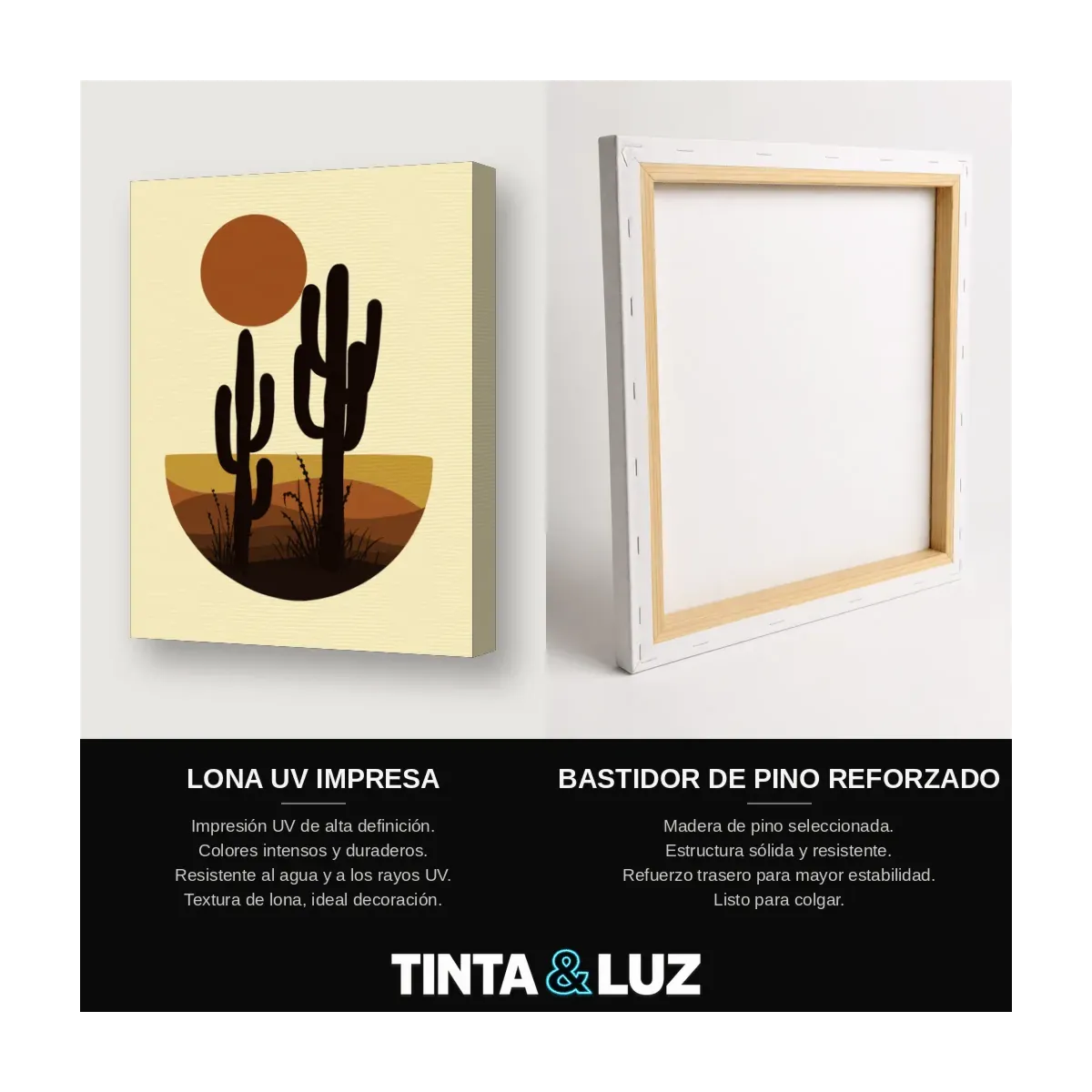 CACTUS AL SOL