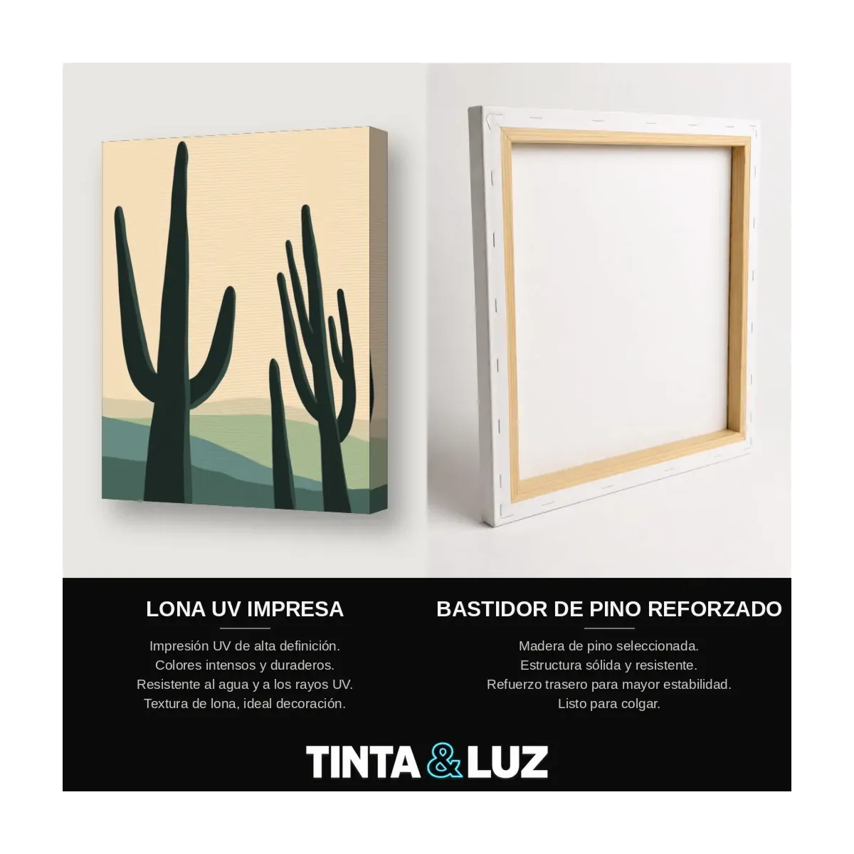 DESIERTO DE CACTUS