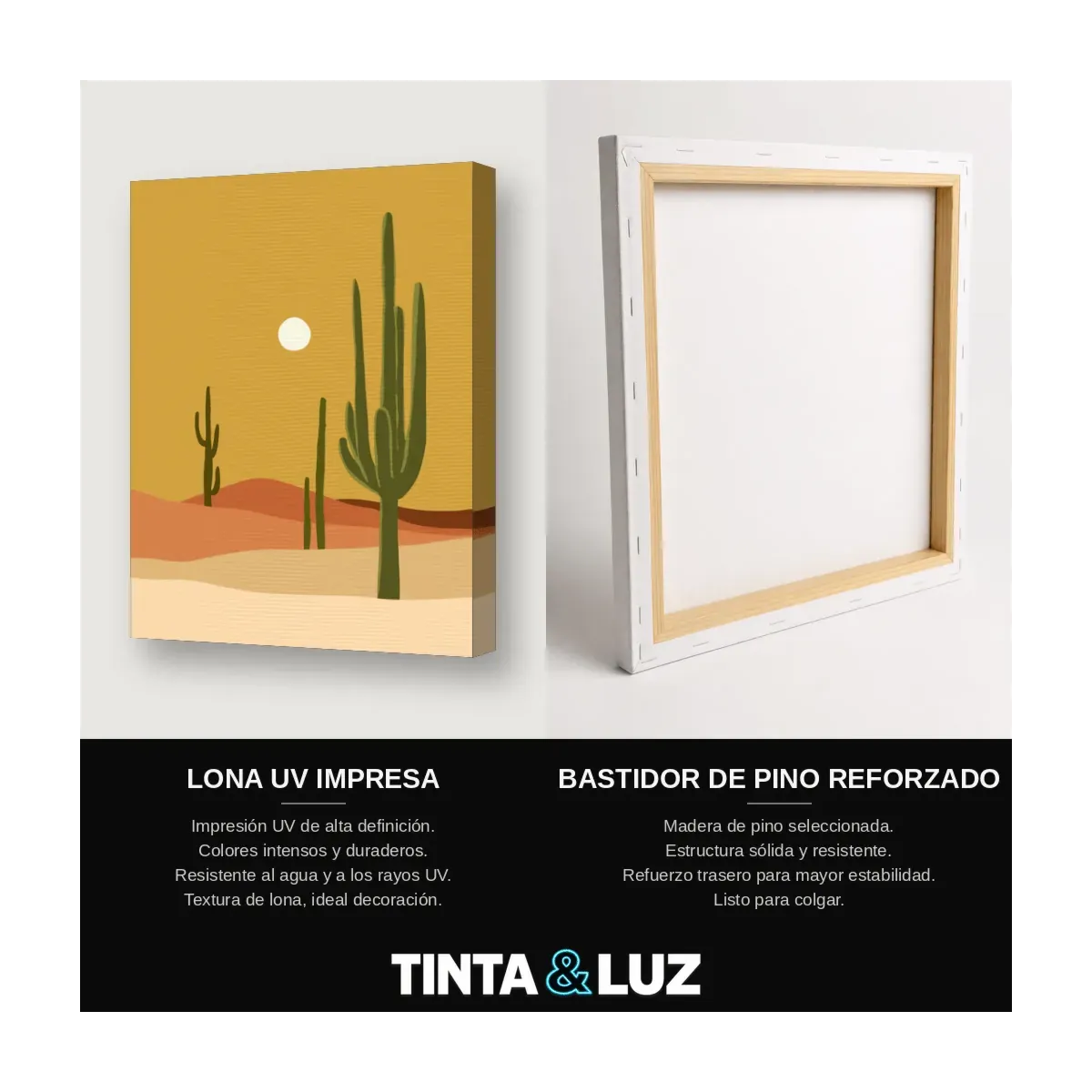 CACTUS SERENO