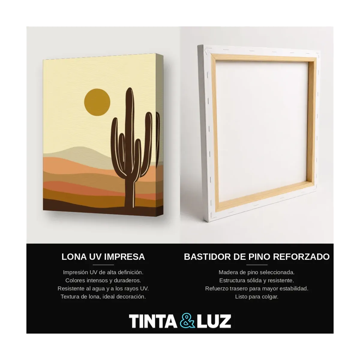 LLANURA DE CACTUS