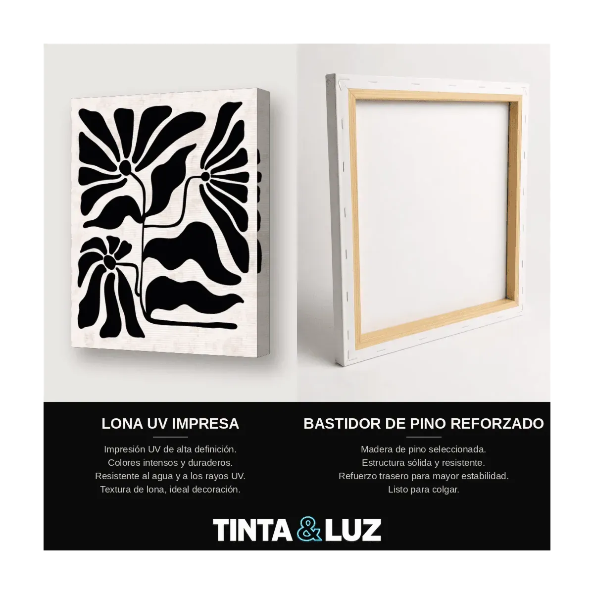 SOL DE TINTA