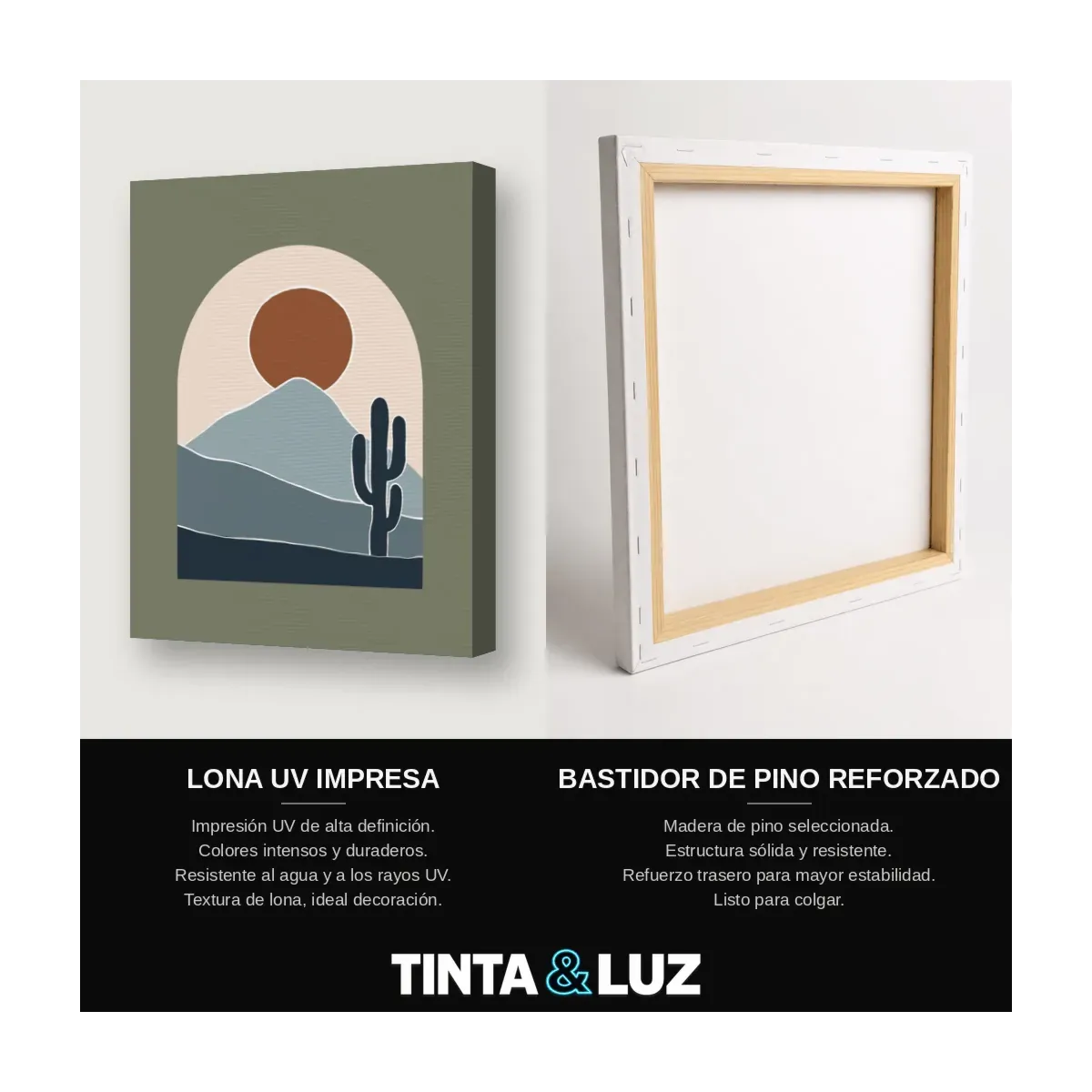 CACTUS DEL OCASO