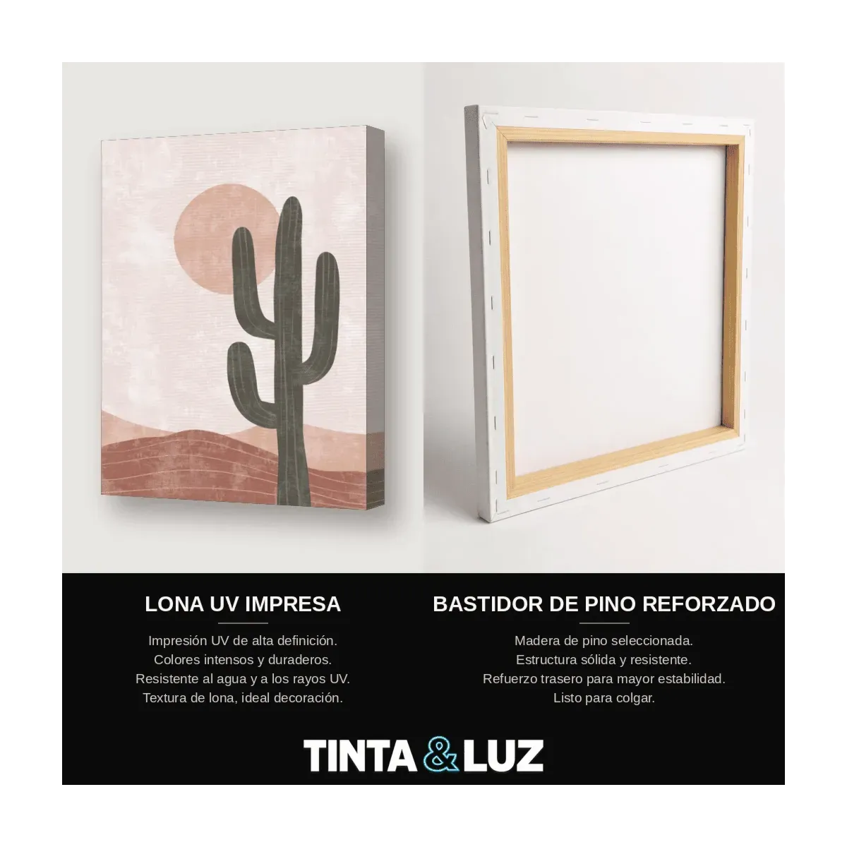 CACTUS DE COBRE