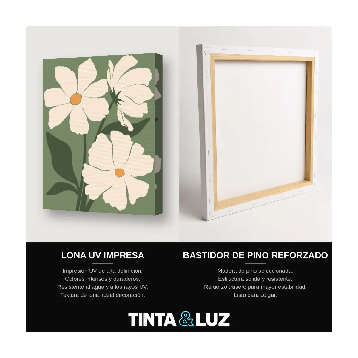 COSMOS BLANCO