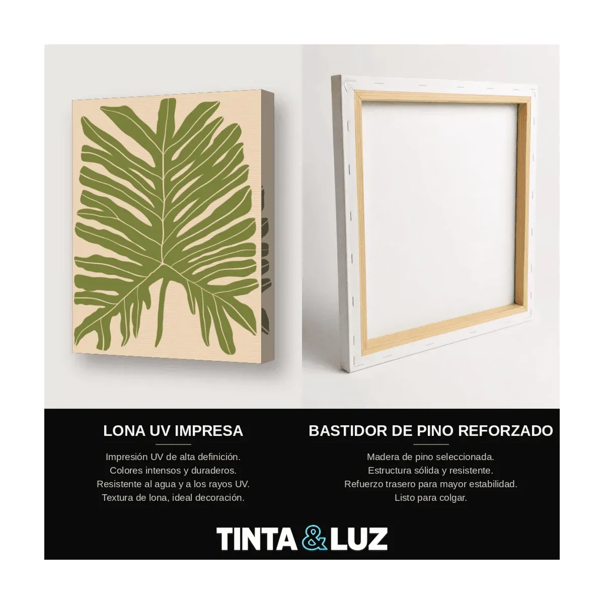 MONSTERA VERDE