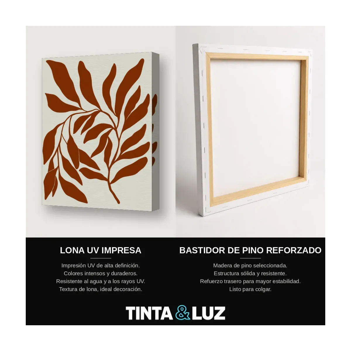 HOJAS DE CACAO