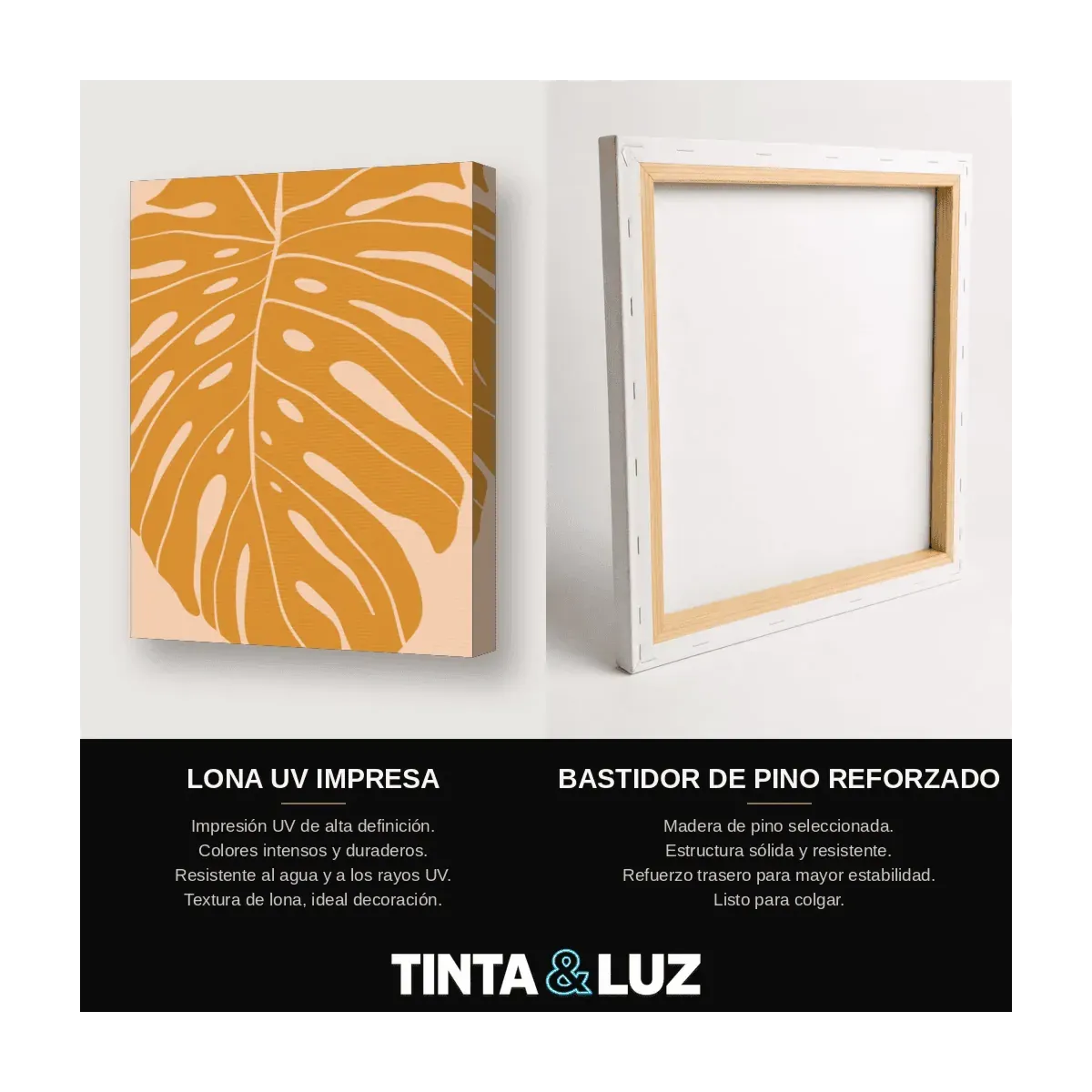 MONSTERA DE COBRE