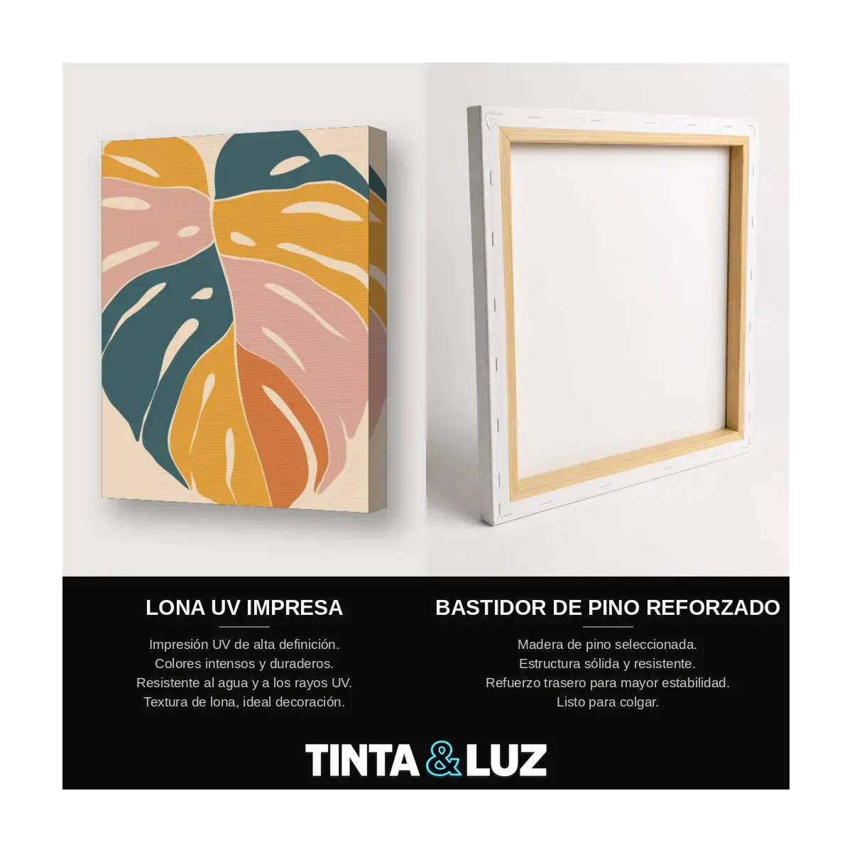 MONSTERA TURQUESA