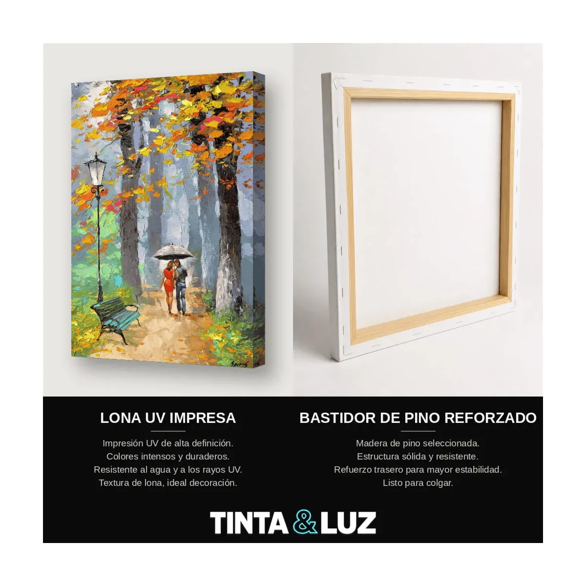 BOSQUE OTOÑAL