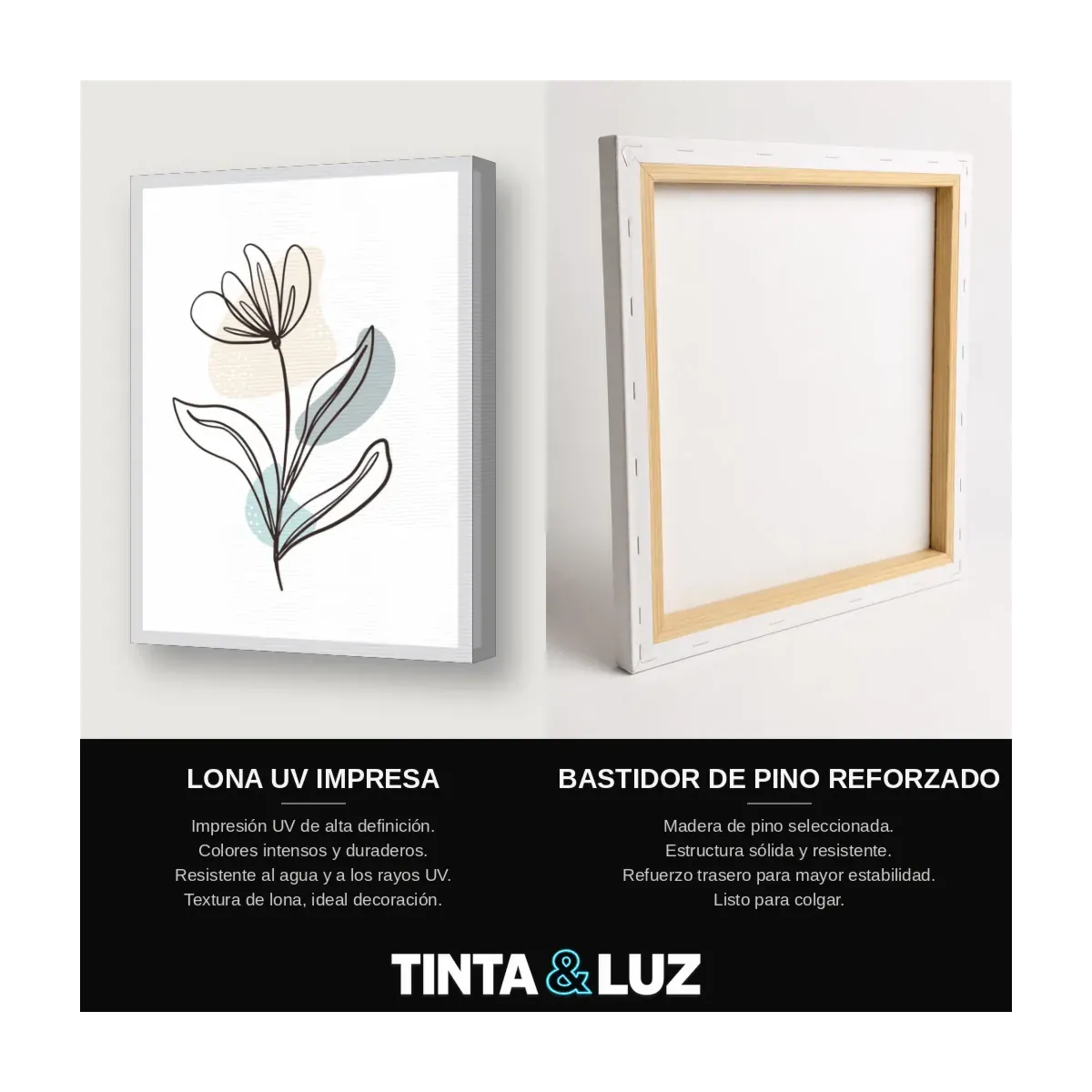 BROTE DE LÍNEA
