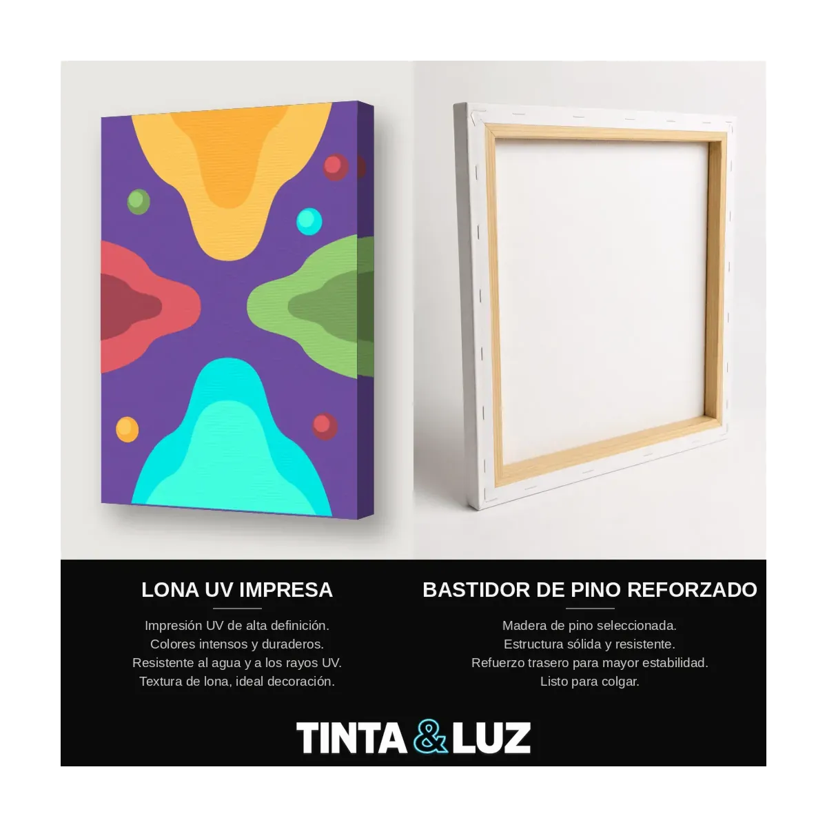 GEOMETRÍA DUAL