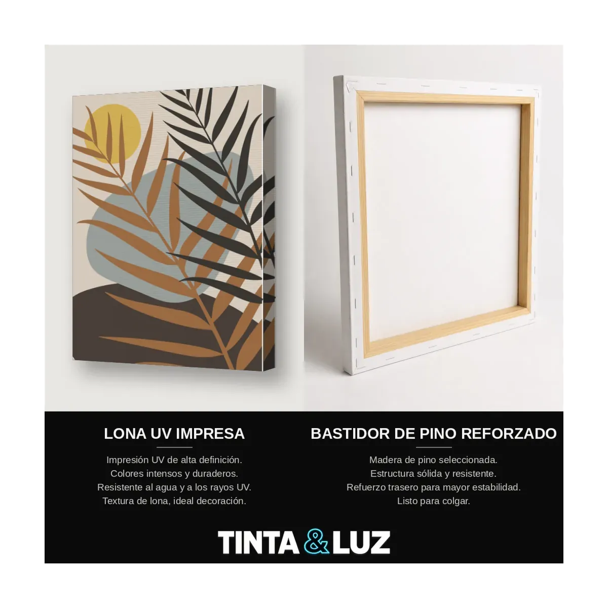 GEOMETRÍA DE MENTA