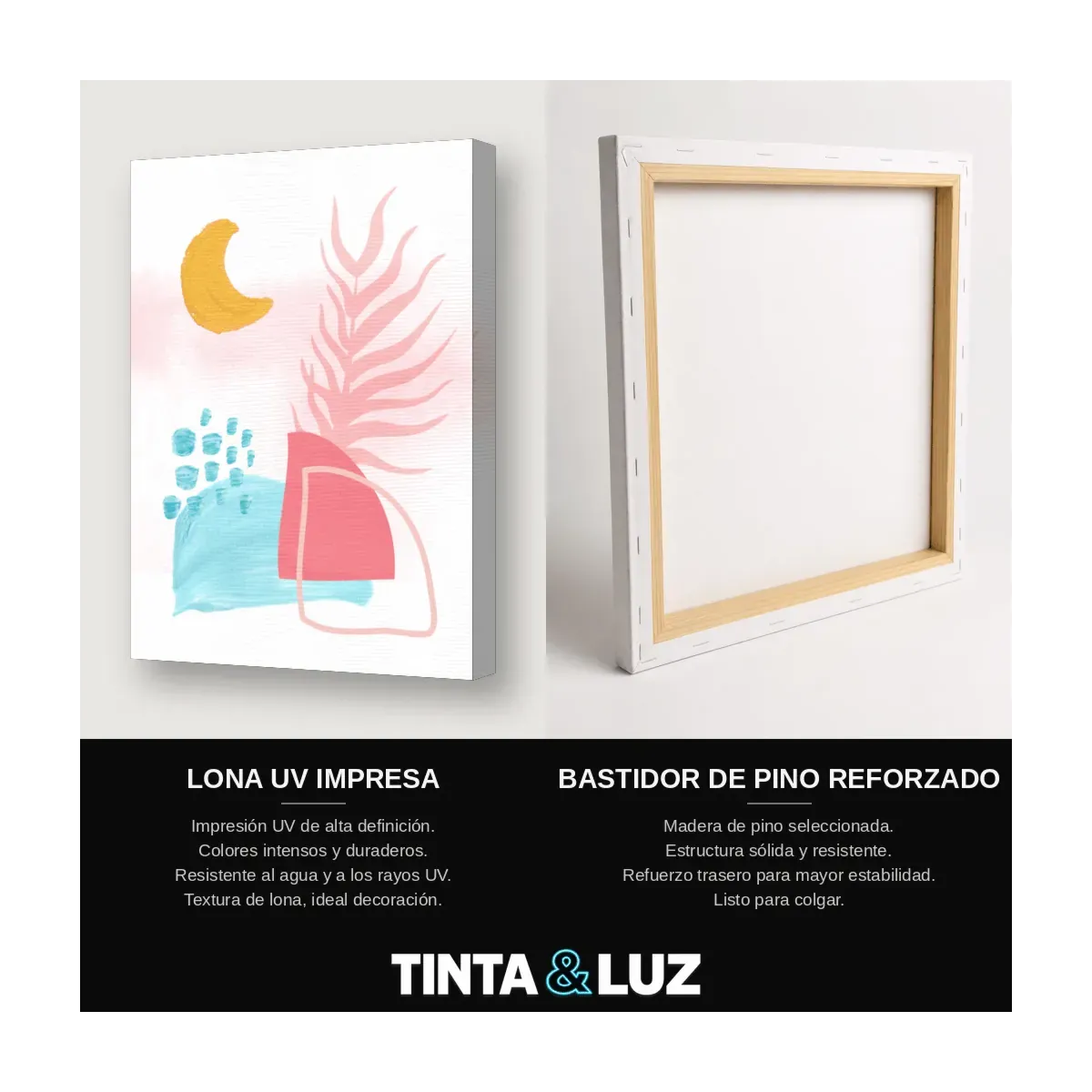 LUNA Y MACETA