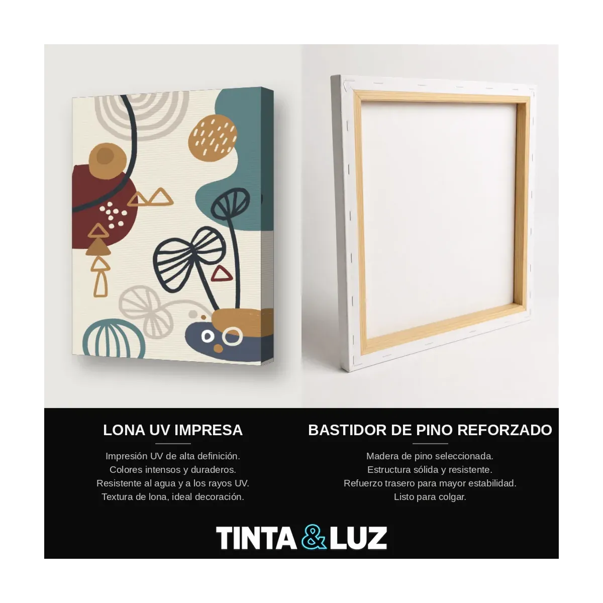 COLLAGE DE TIERRA