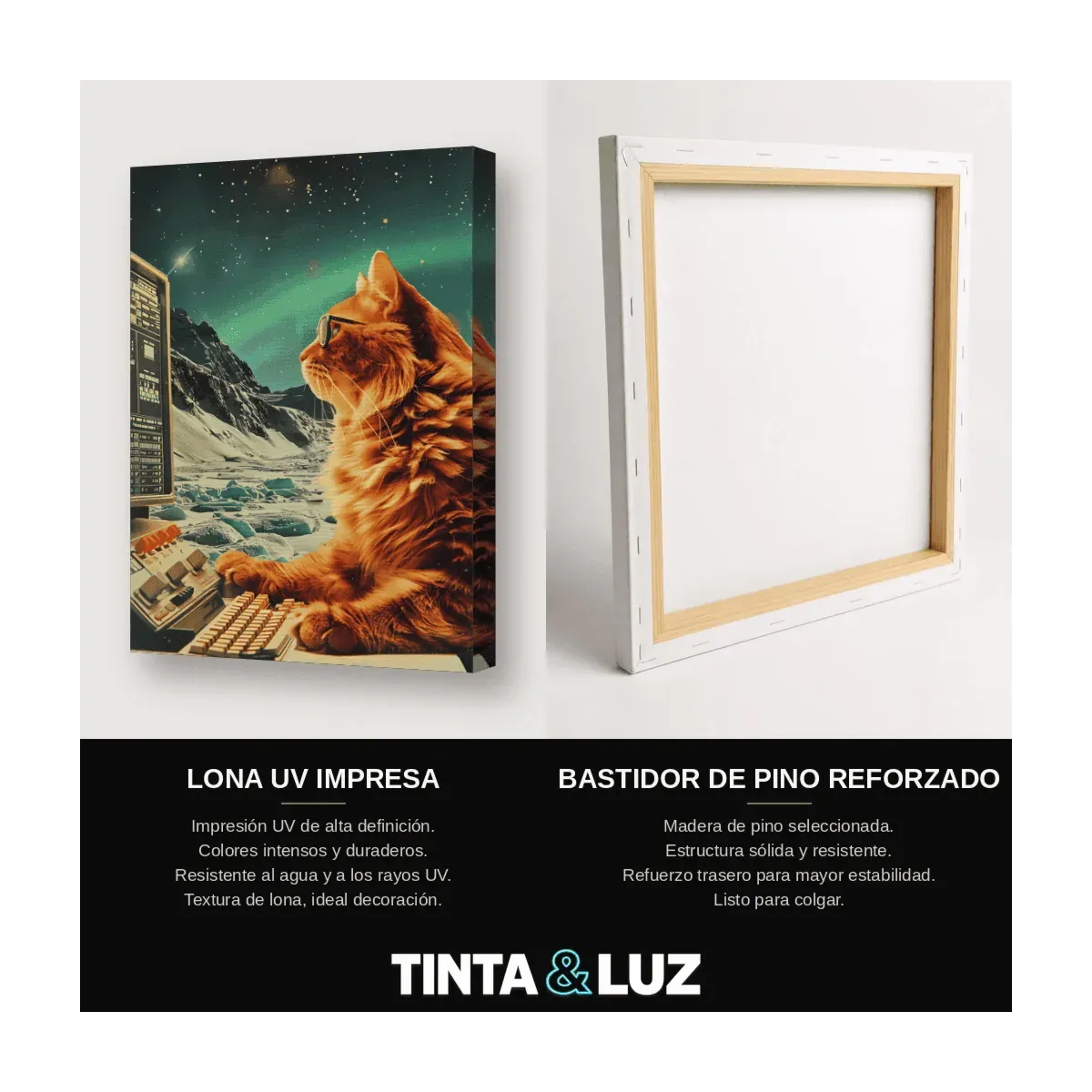 GATO DE MONTAÑA