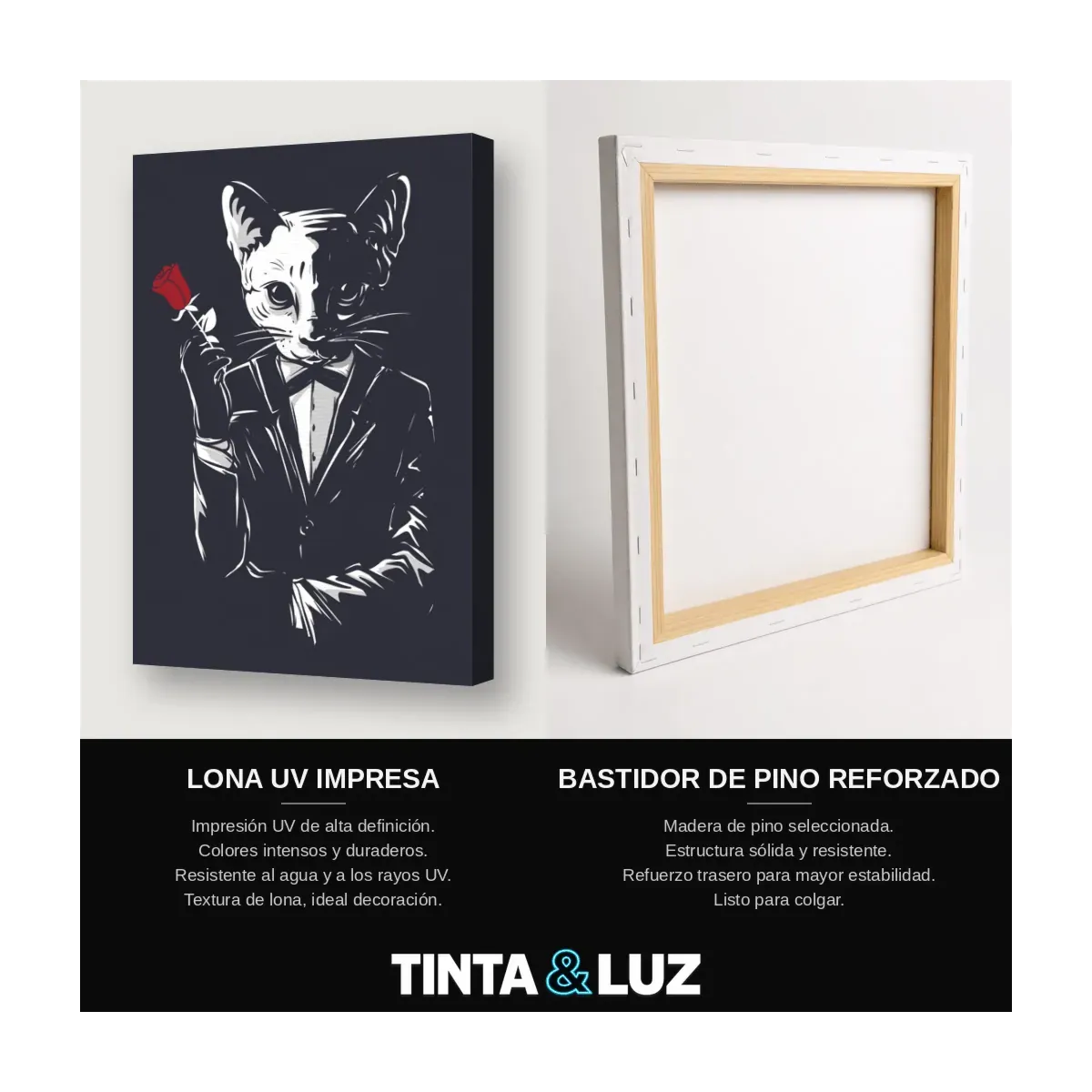GATO ELEGANTE