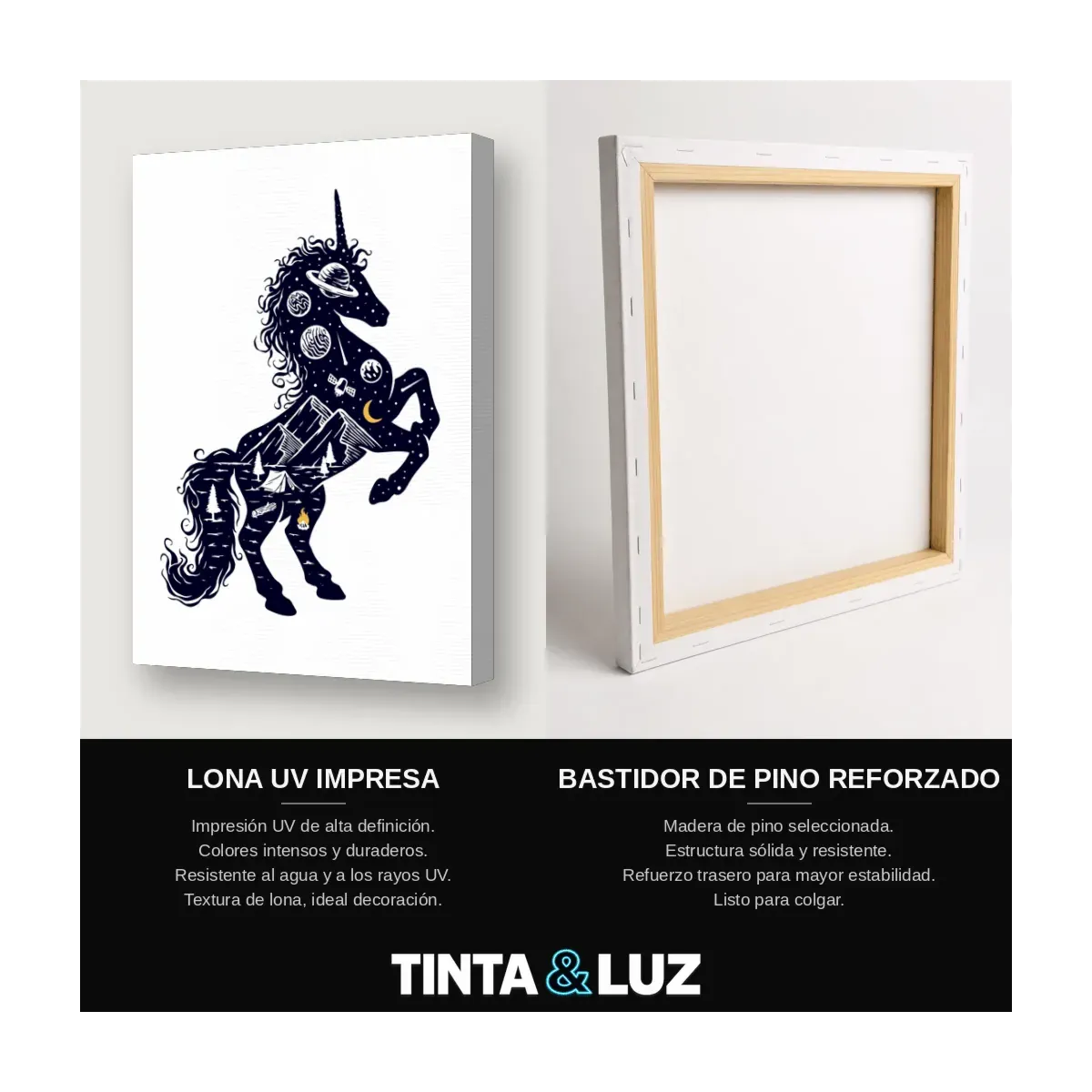 CABALLO SALVAJE