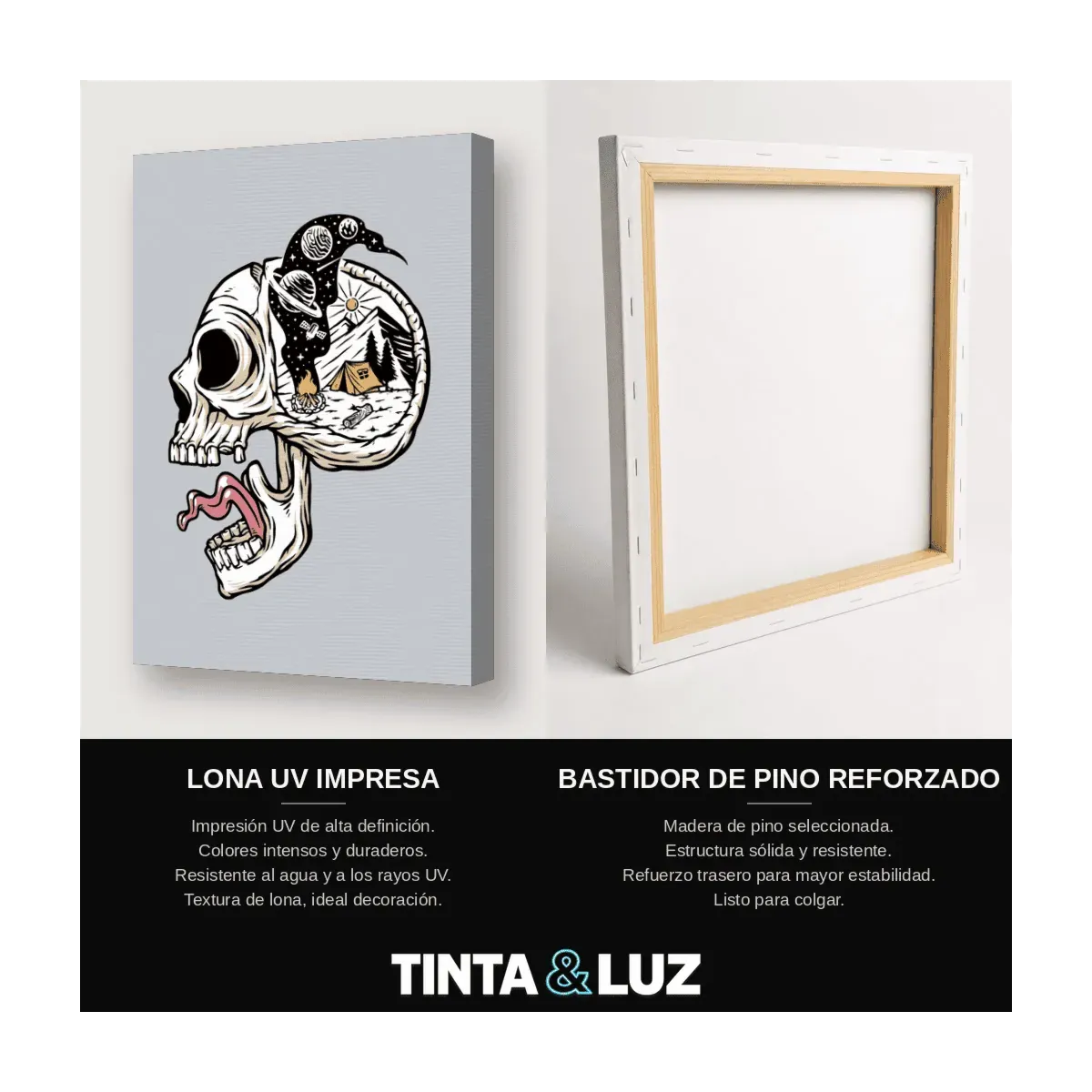 CRÁNEO ILUSTRADO