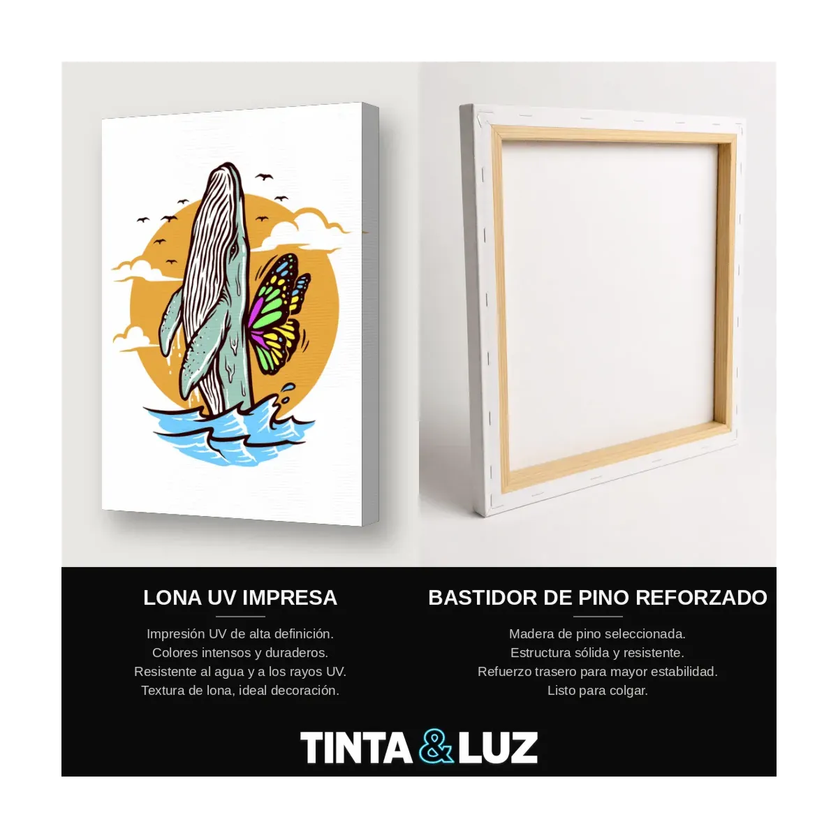 TABLA DE SURF