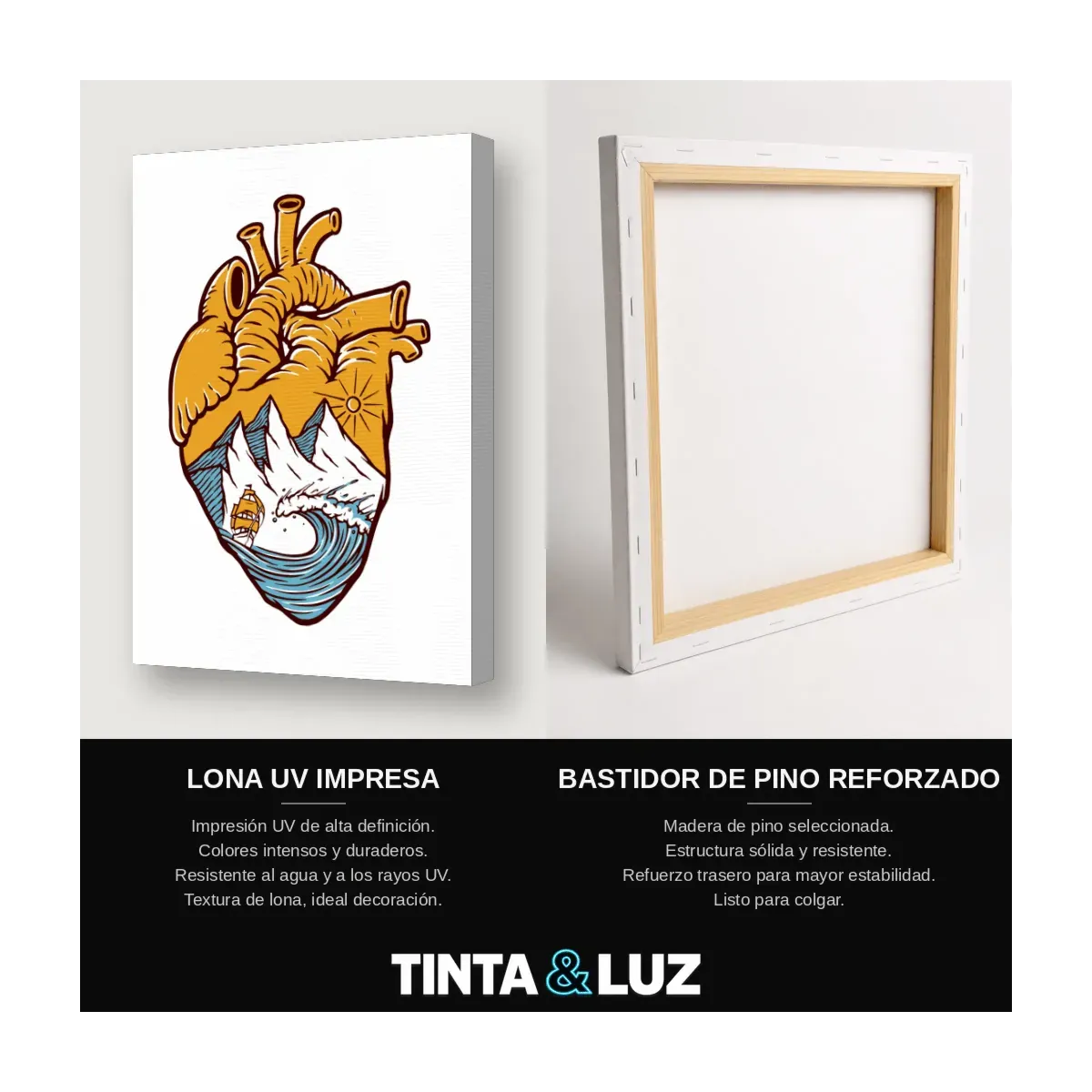CORAZÓN ANATÓMICO