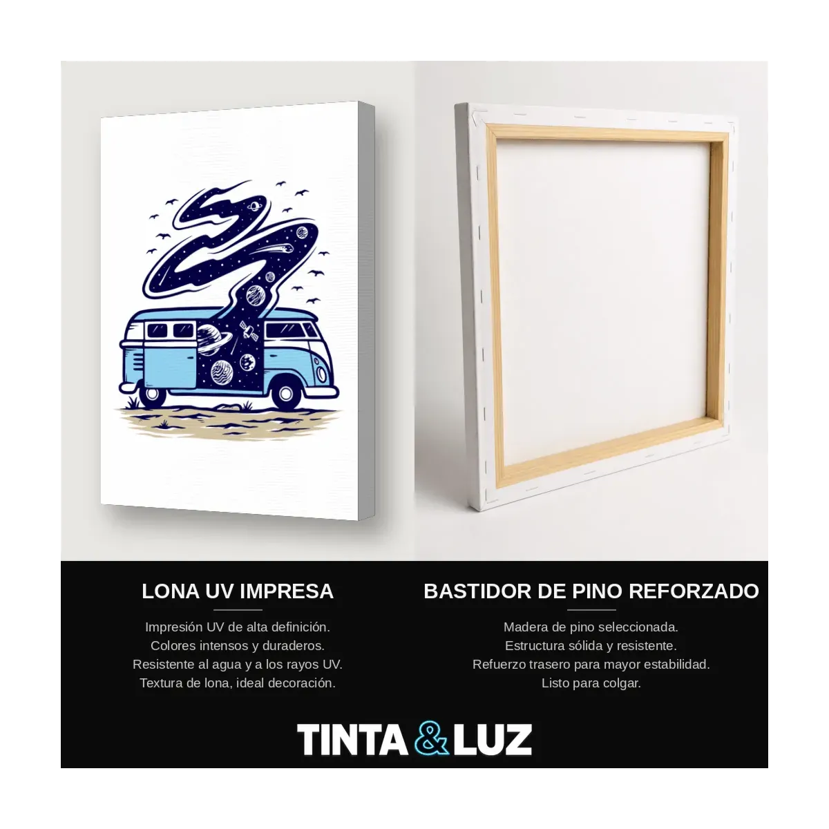 OSO GIMNASTA