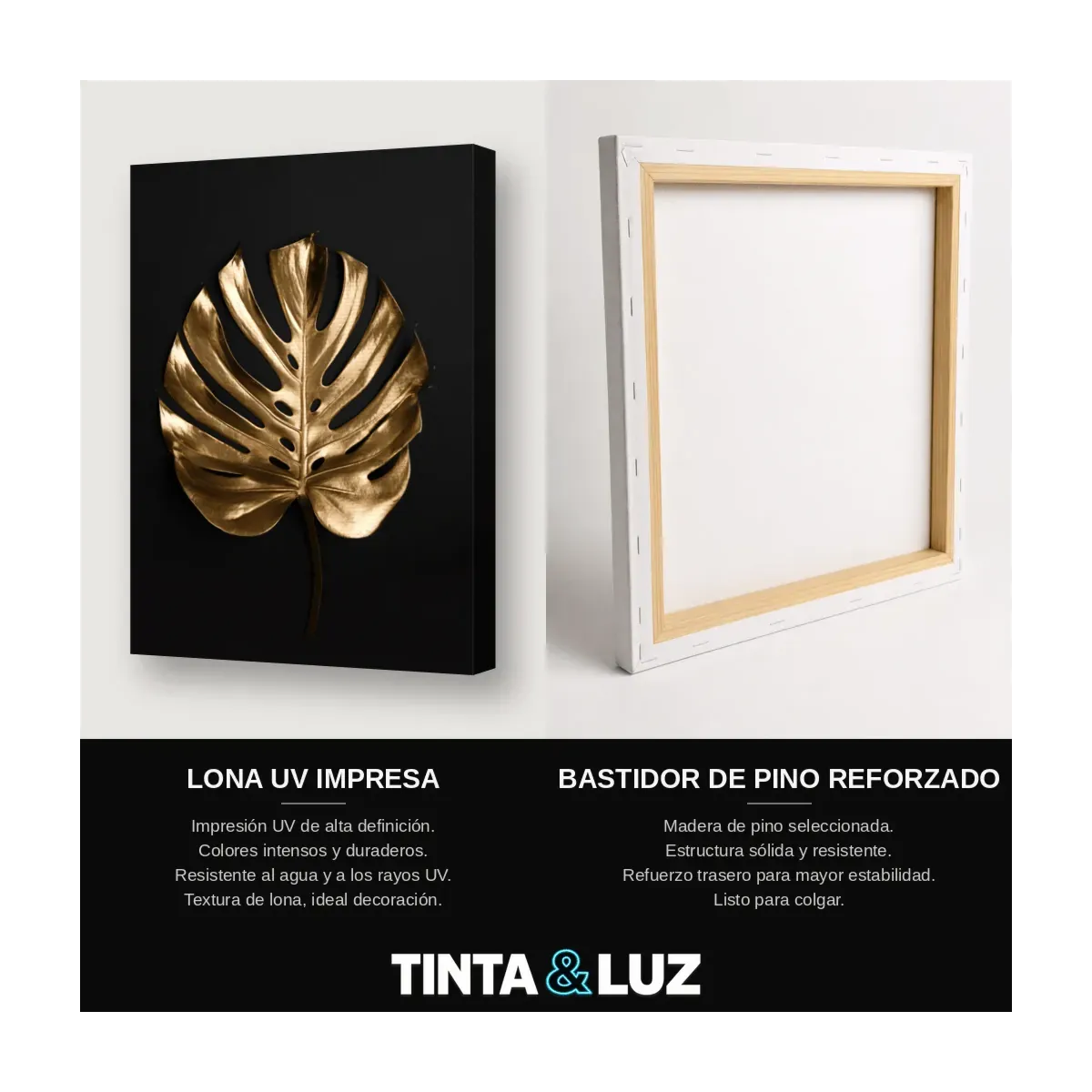 MONSTERA DE ORO