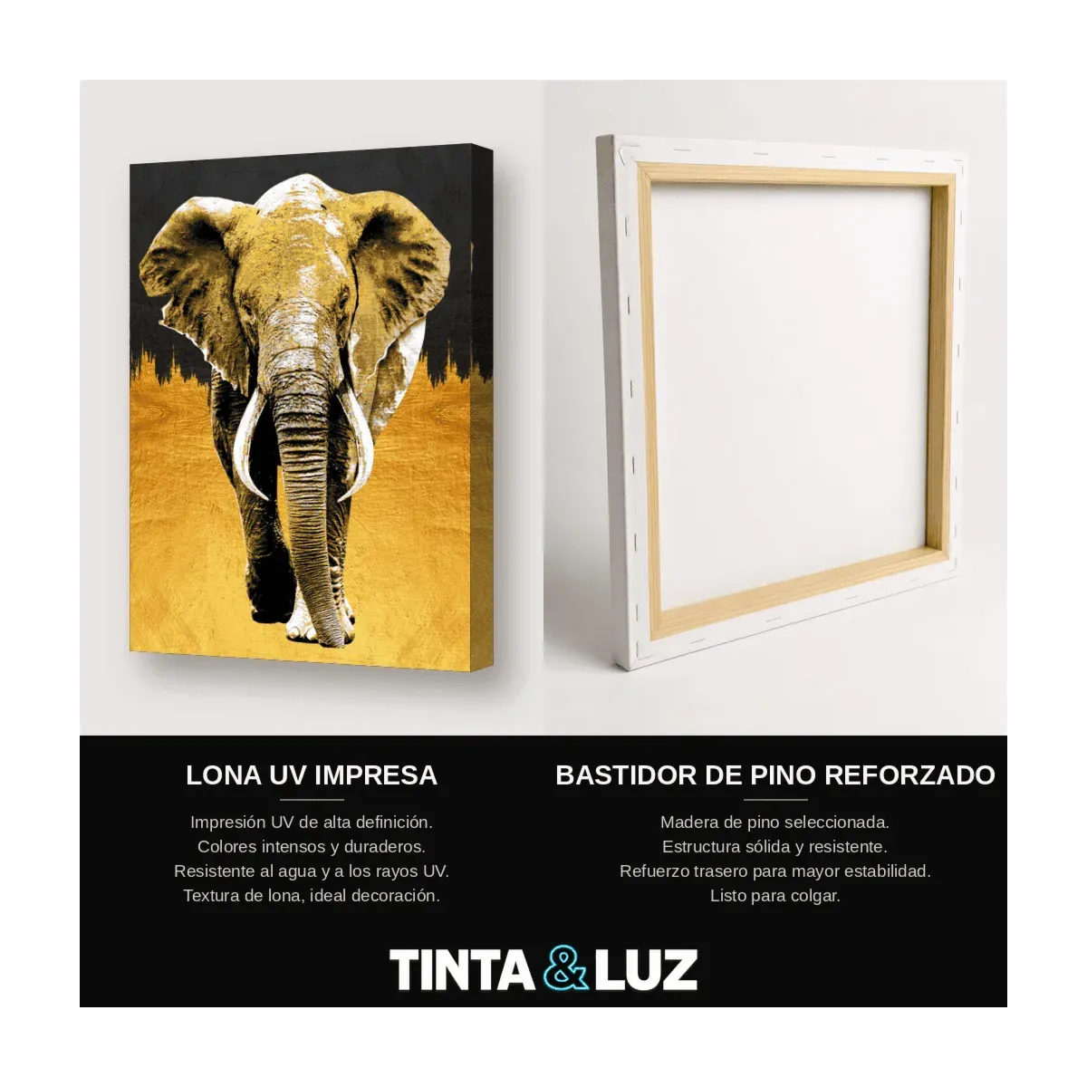 ELEFANTE DORADO