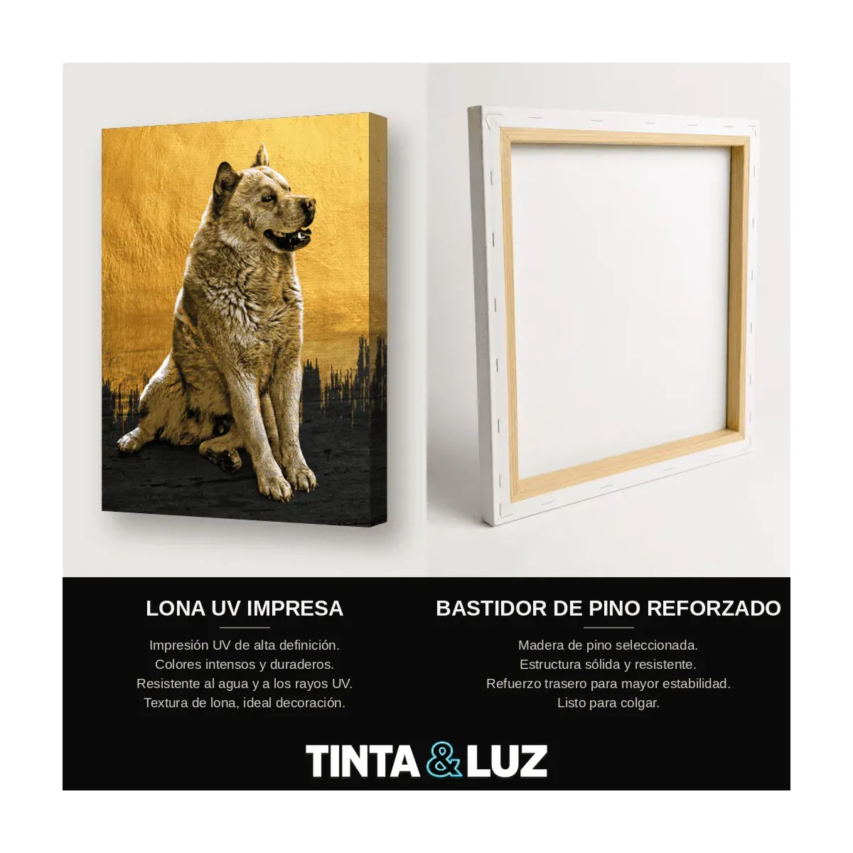 PERRO DORADO