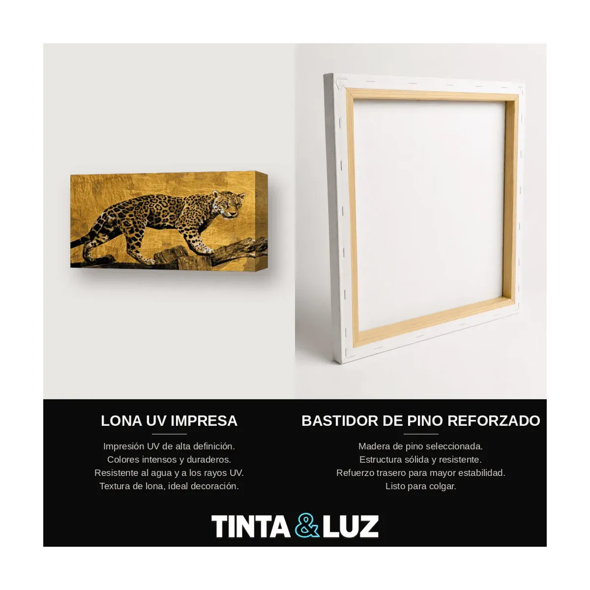 LEOPARDO DORADO