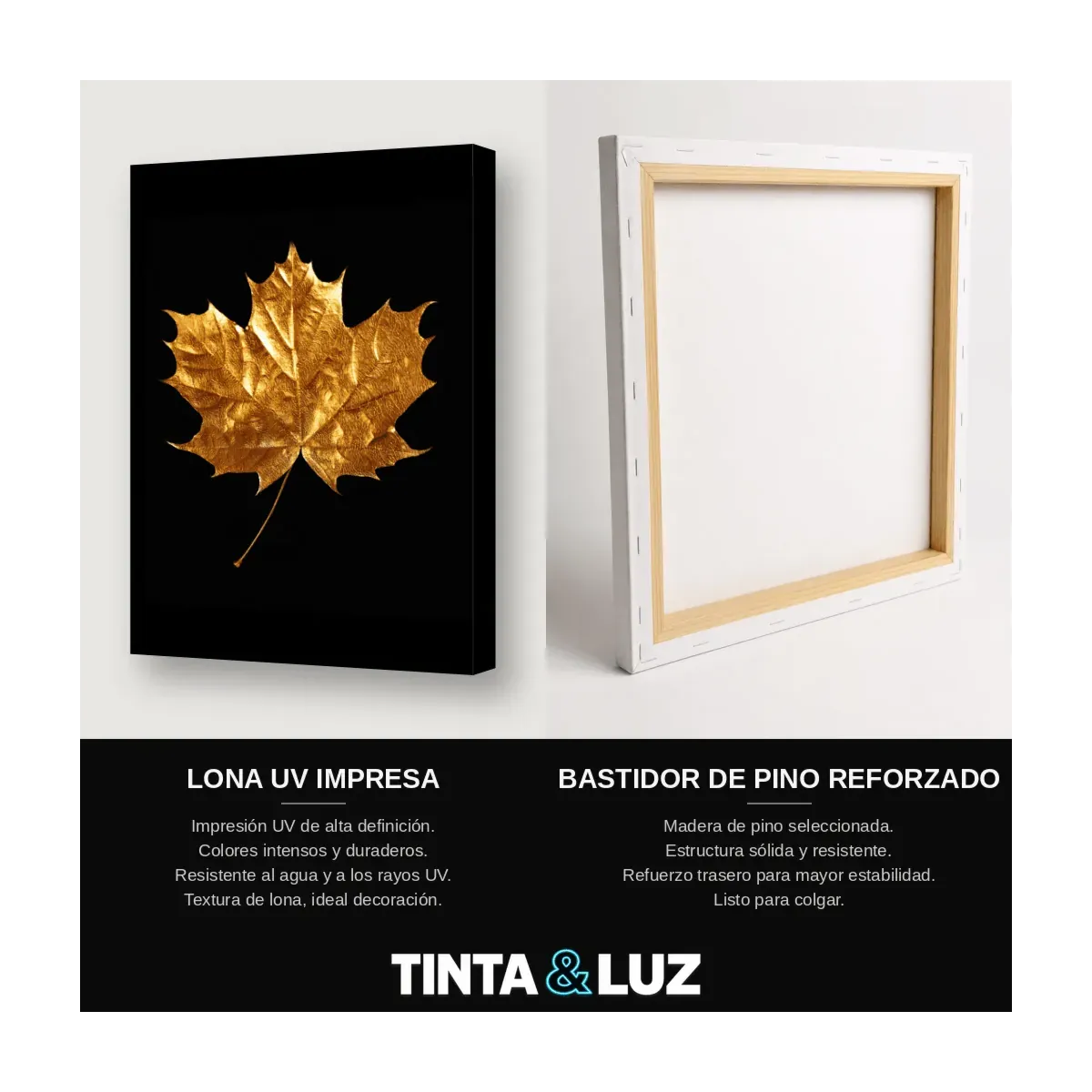 ARCE DE ORO