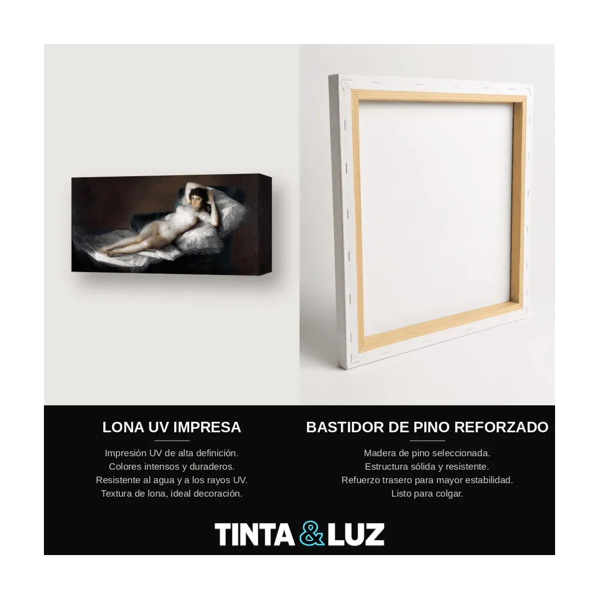LA MAJA DESNUDA
