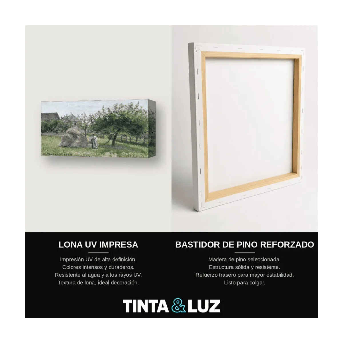 RECOLECTORAS