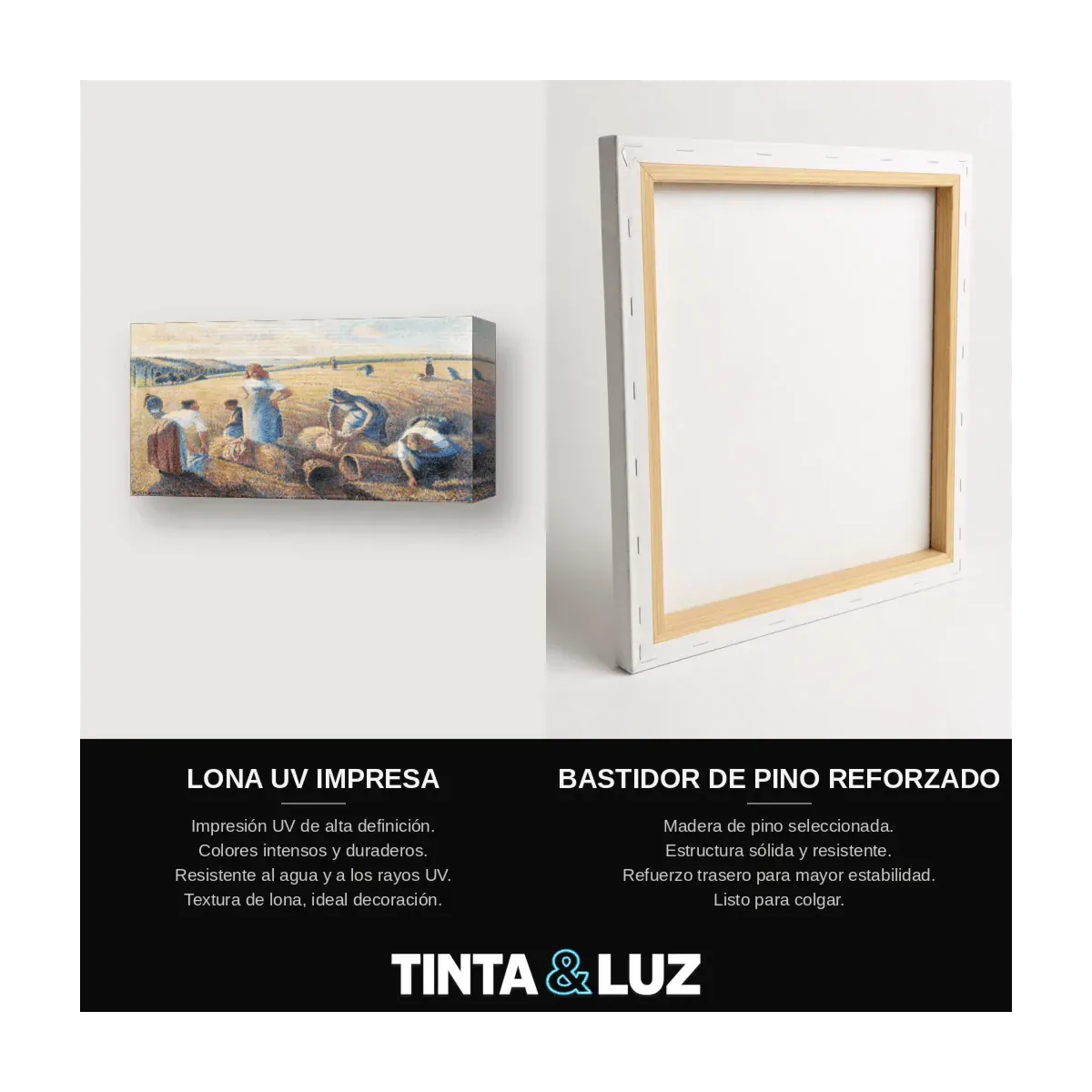 LA COSECHA
