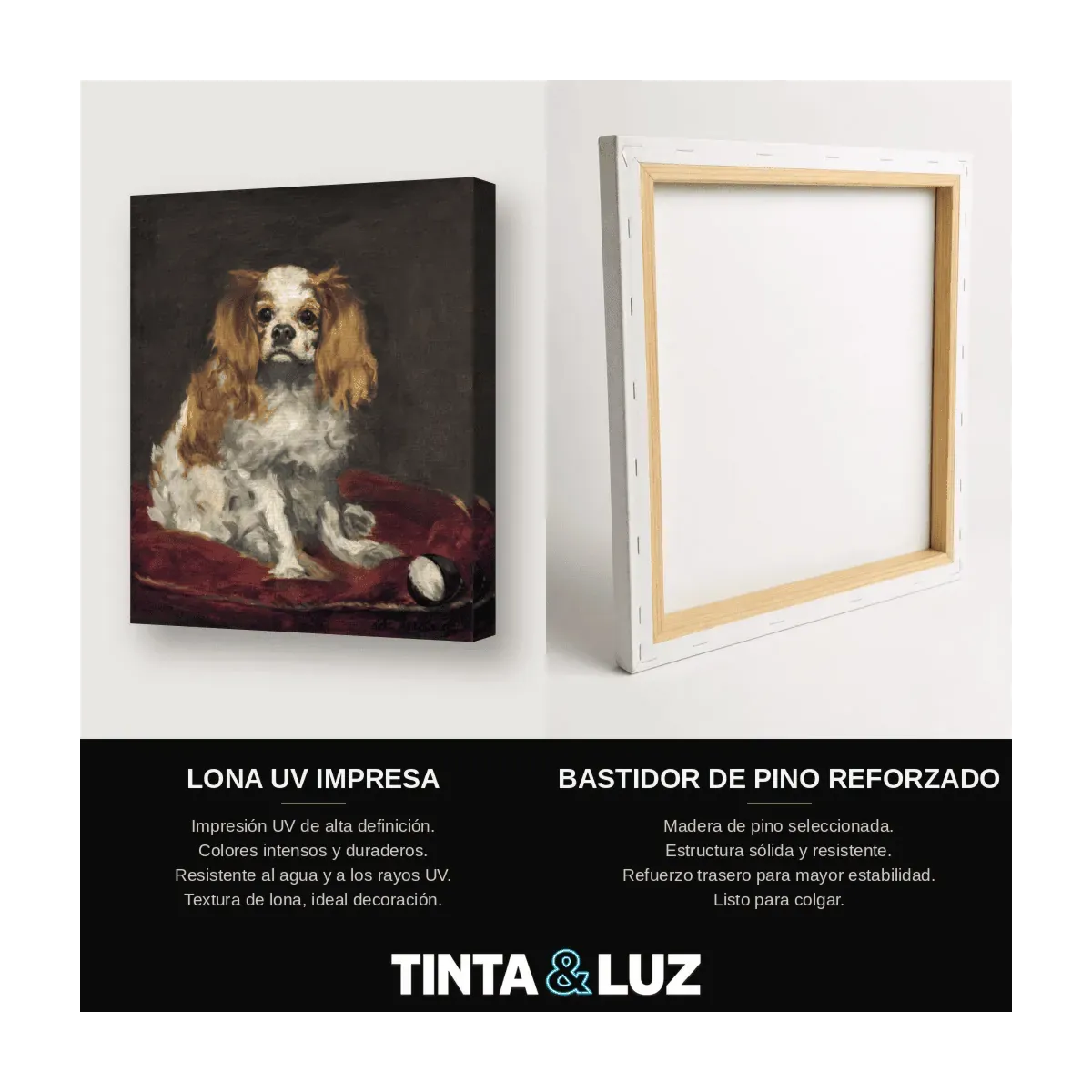 PERRO KING CHARLES