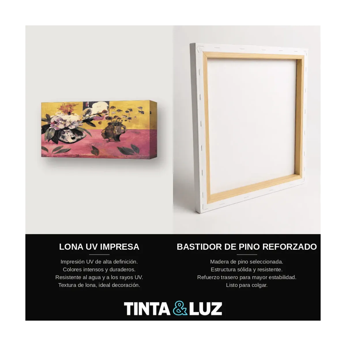 FLORES Y GATO