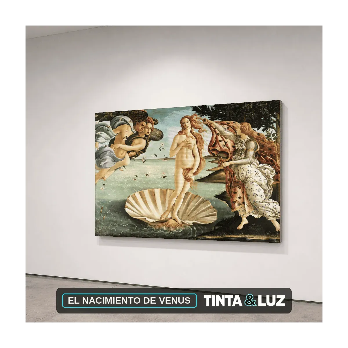 EL NACIMIENTO DE VENUS