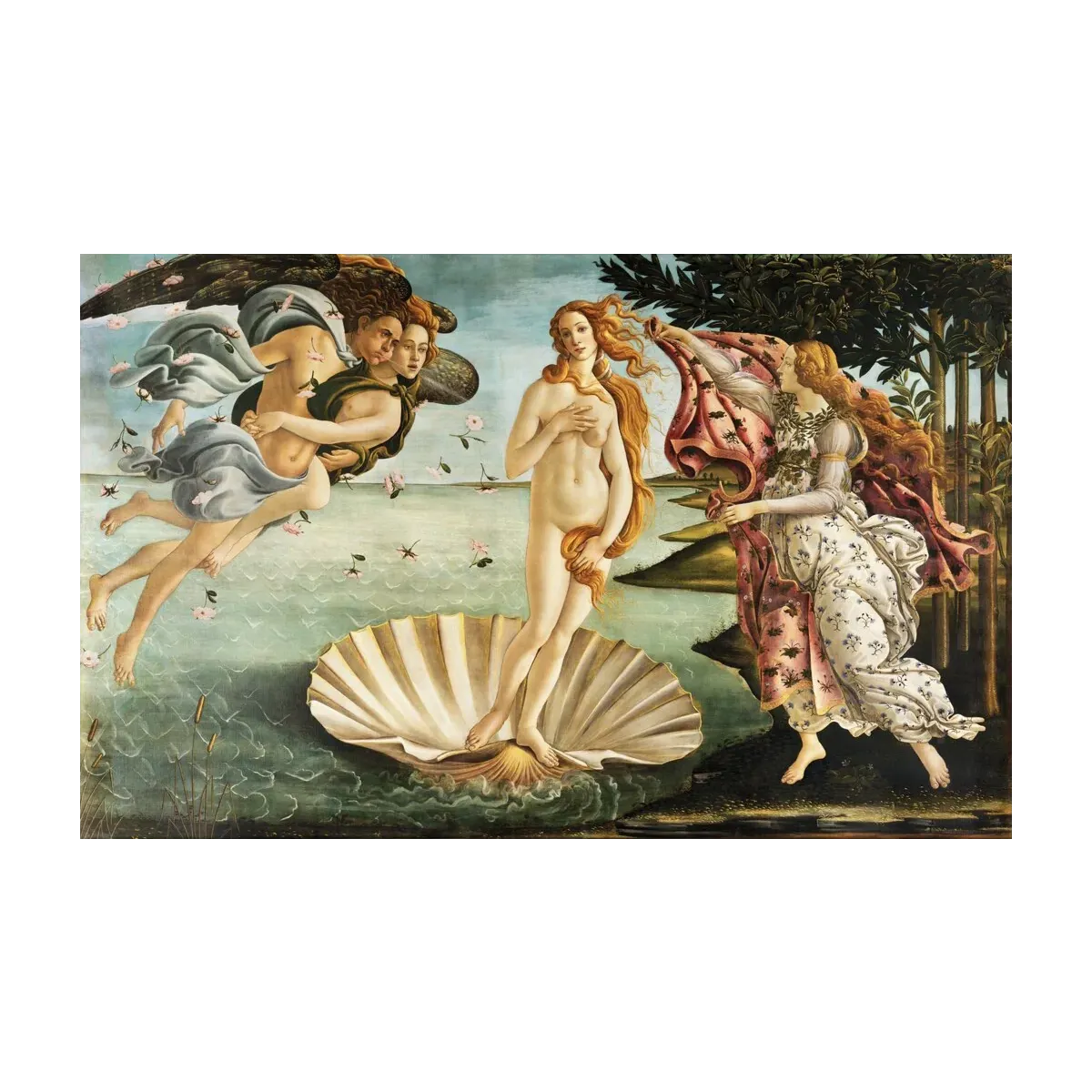 EL NACIMIENTO DE VENUS