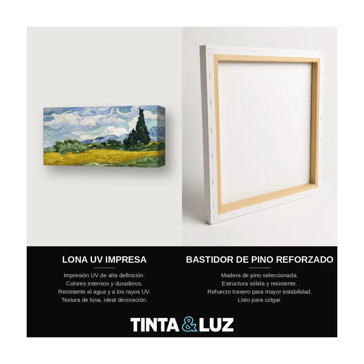 CAMPO DE TRIGO CON CIPRESES