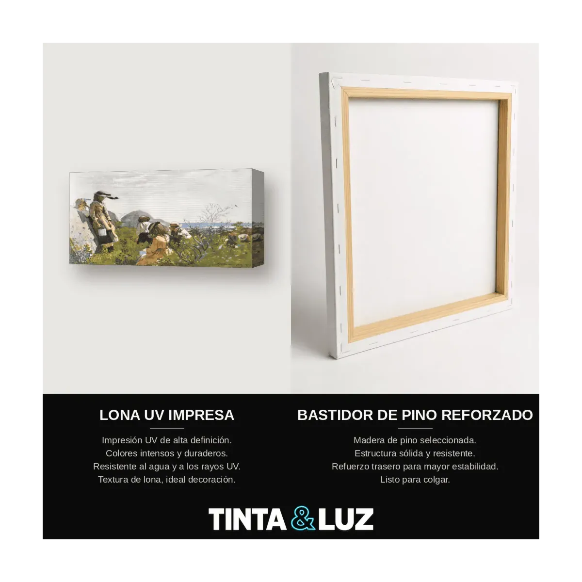 LABRADORES