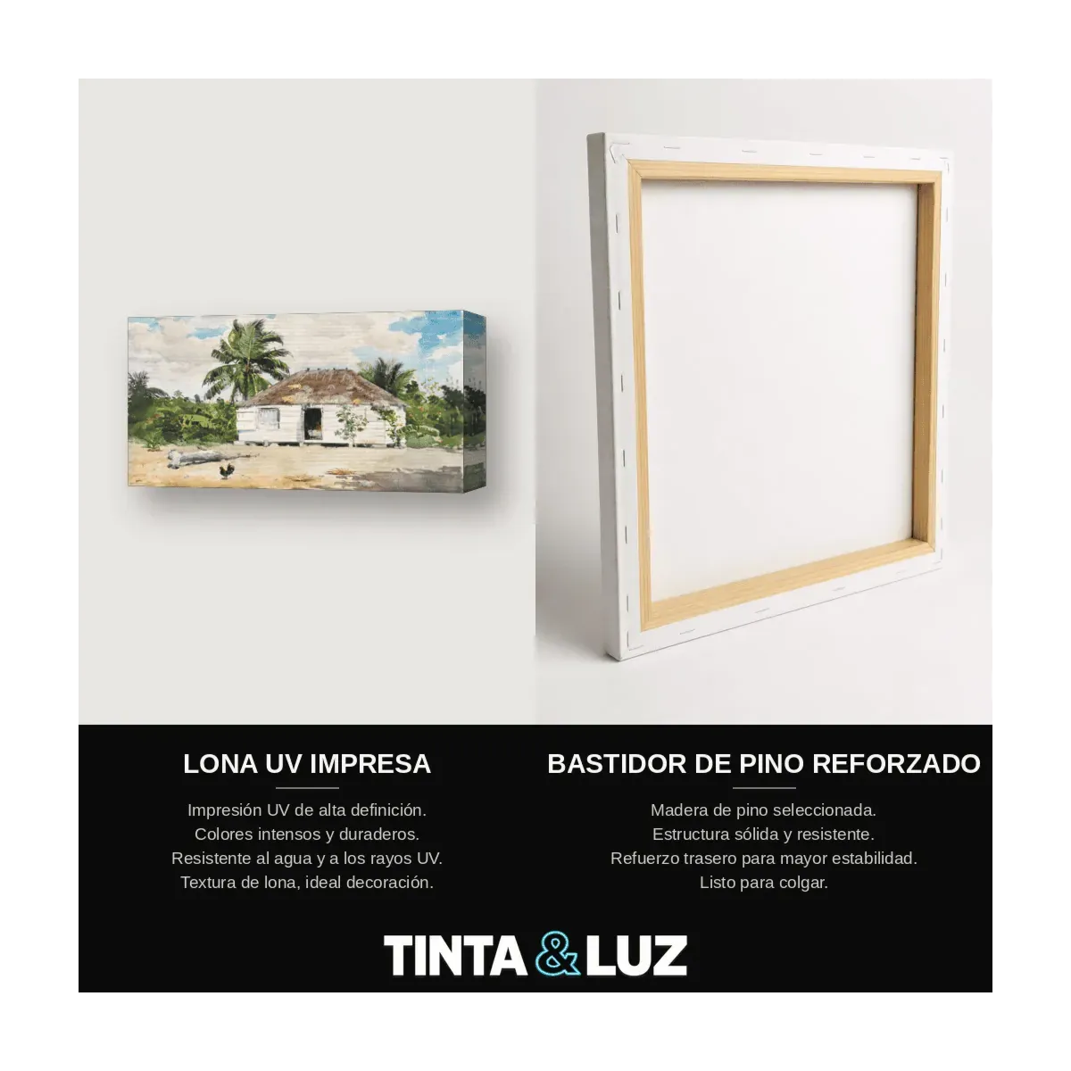 CASA BLANCA TROPICAL