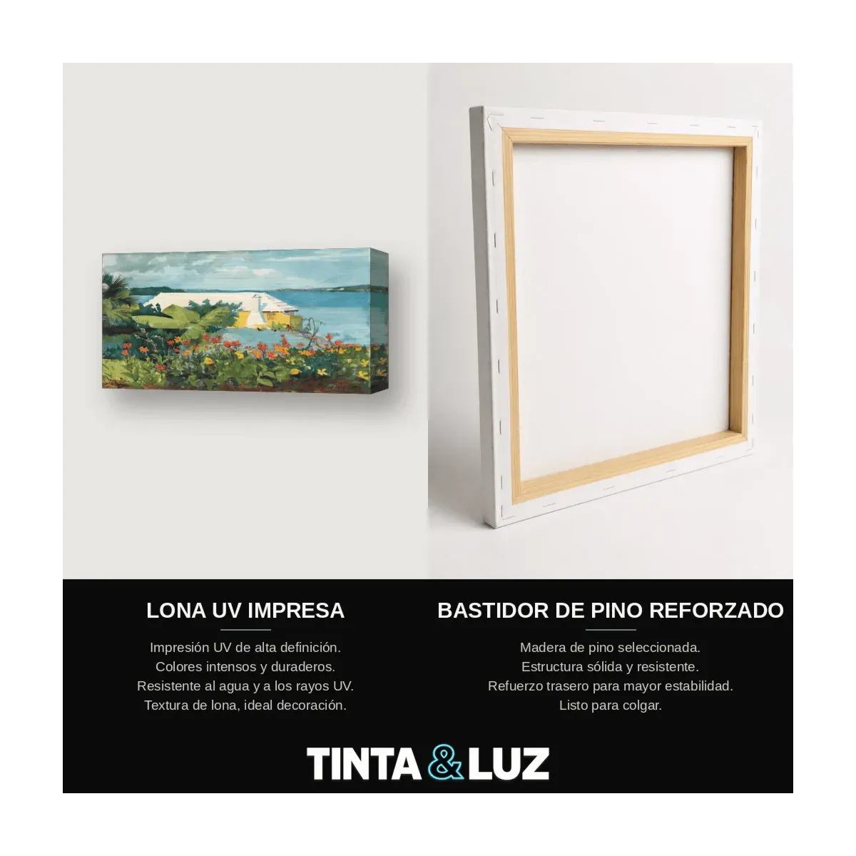 PAISAJE TROPICAL