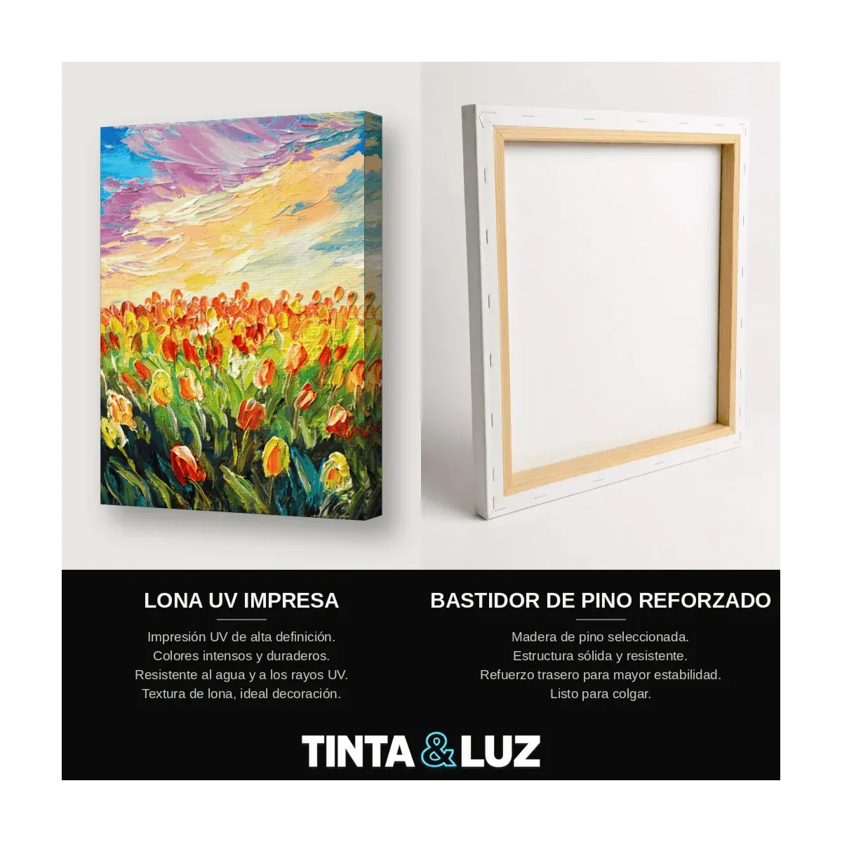 CAMPO DE TULIPANES