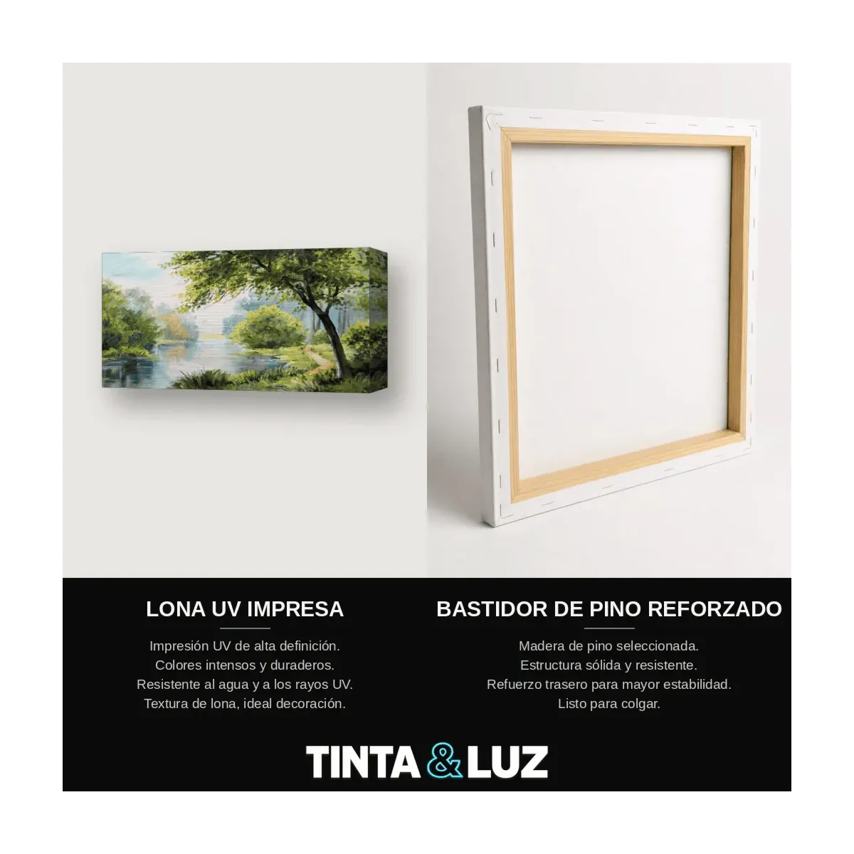 BOSQUE DE OTOÑO
