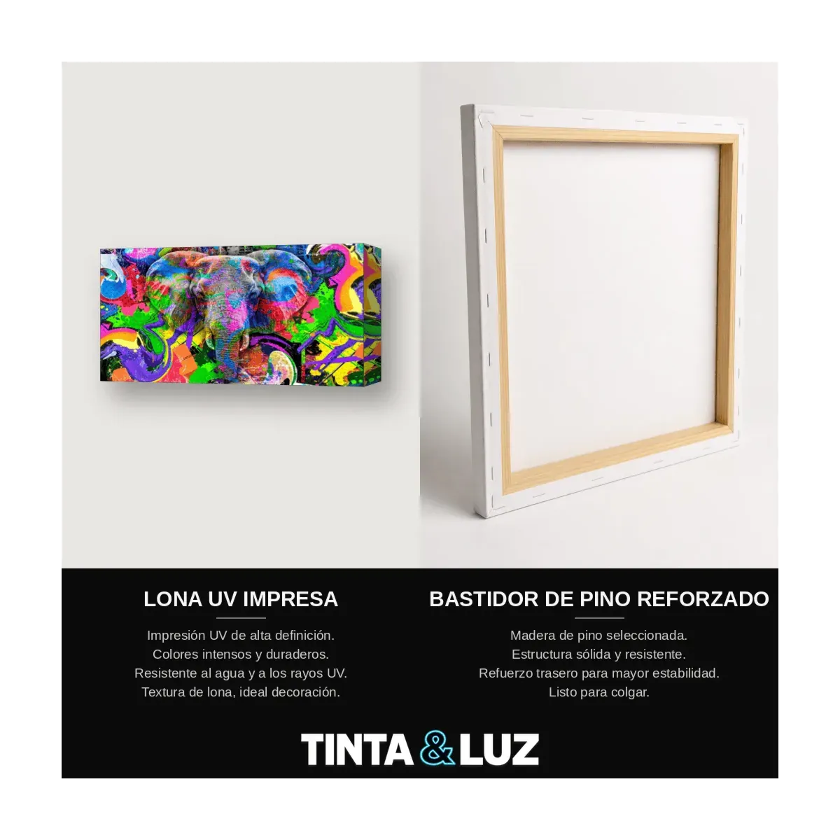 LEÓN PRISMÁTICO