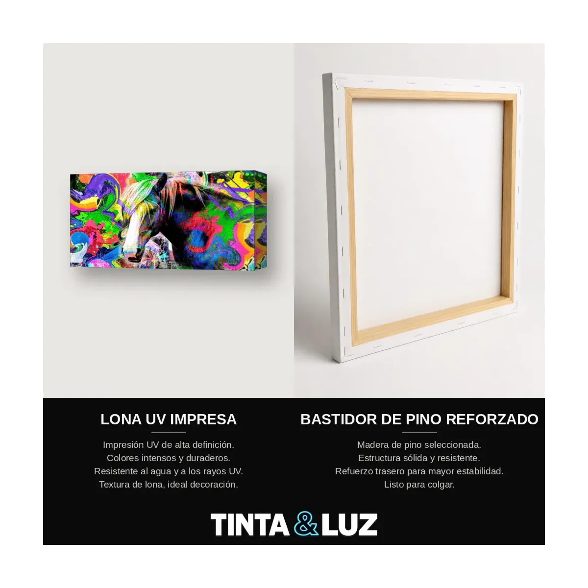 TIGRE DE COLORES
