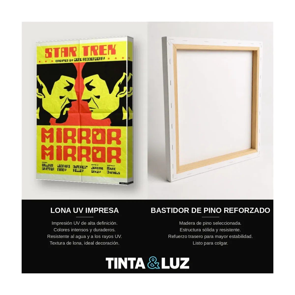 STAR TREK MIRROR